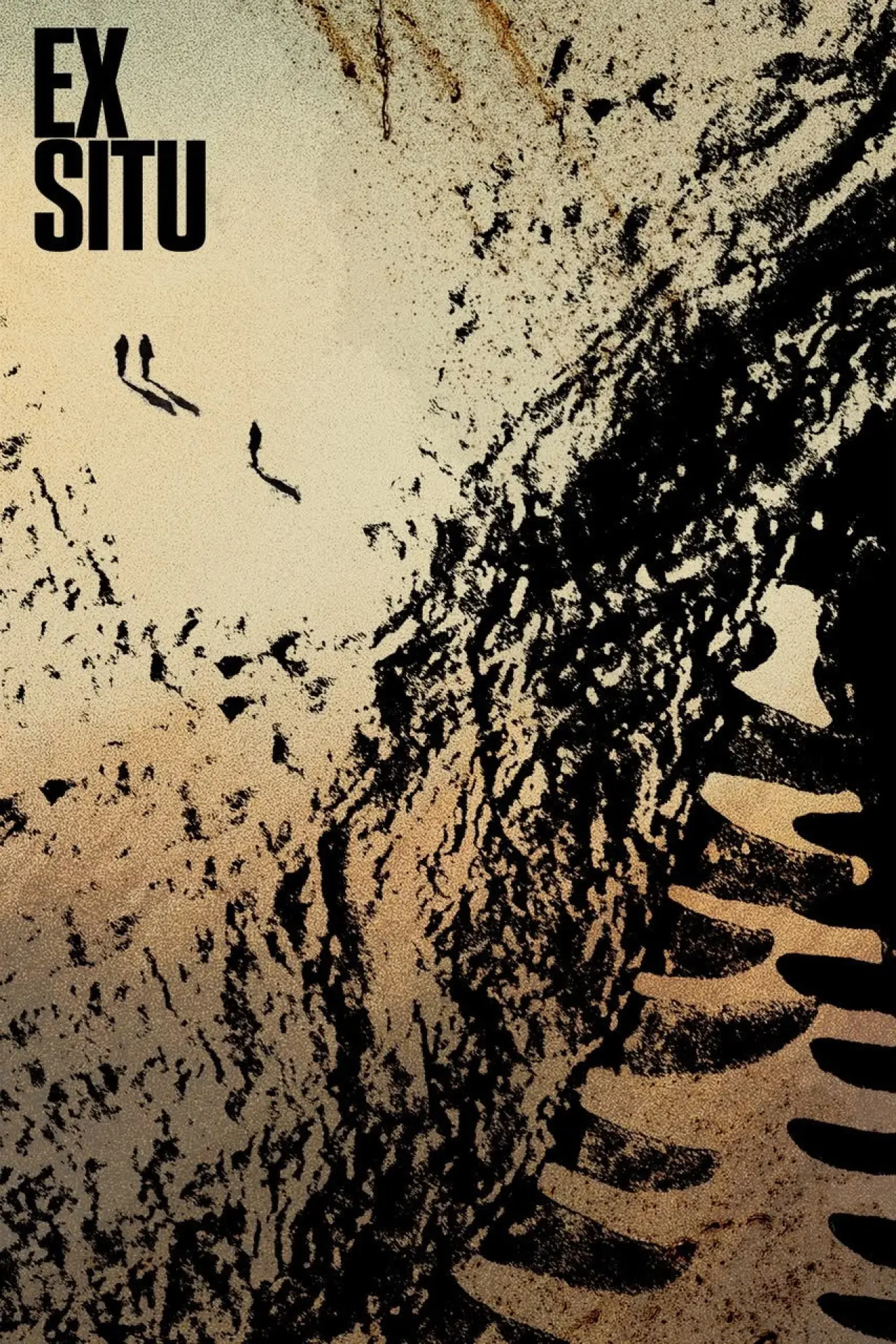 Plakat filmowy "Ex Situ"
