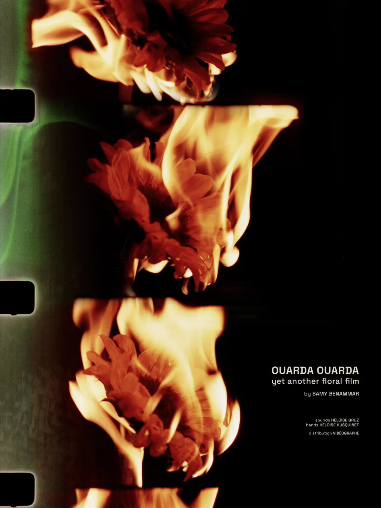 Plakat filmowy "Ouarda Ouarda: yet another floral film"