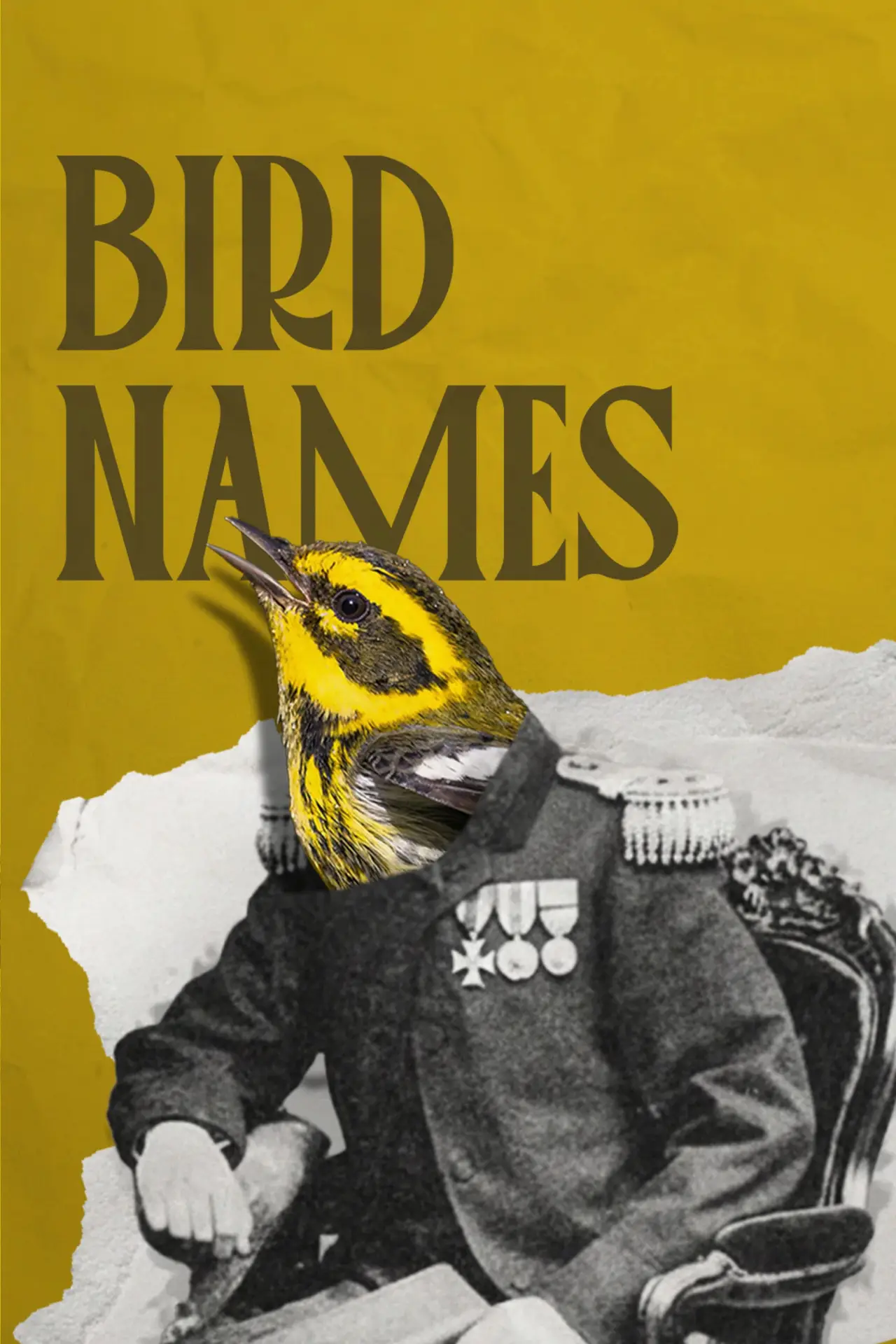 Plakat filmowy "Bird Names"