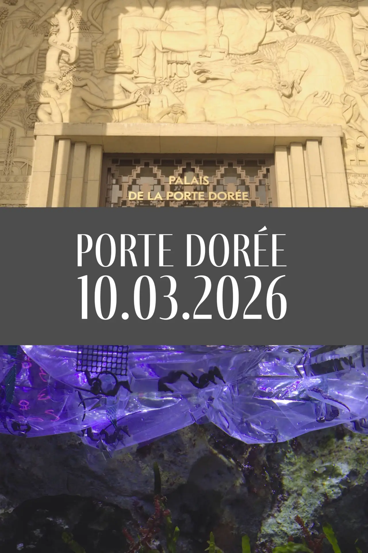 Plakat filmowy "Porte Dorée 10.03.2026"