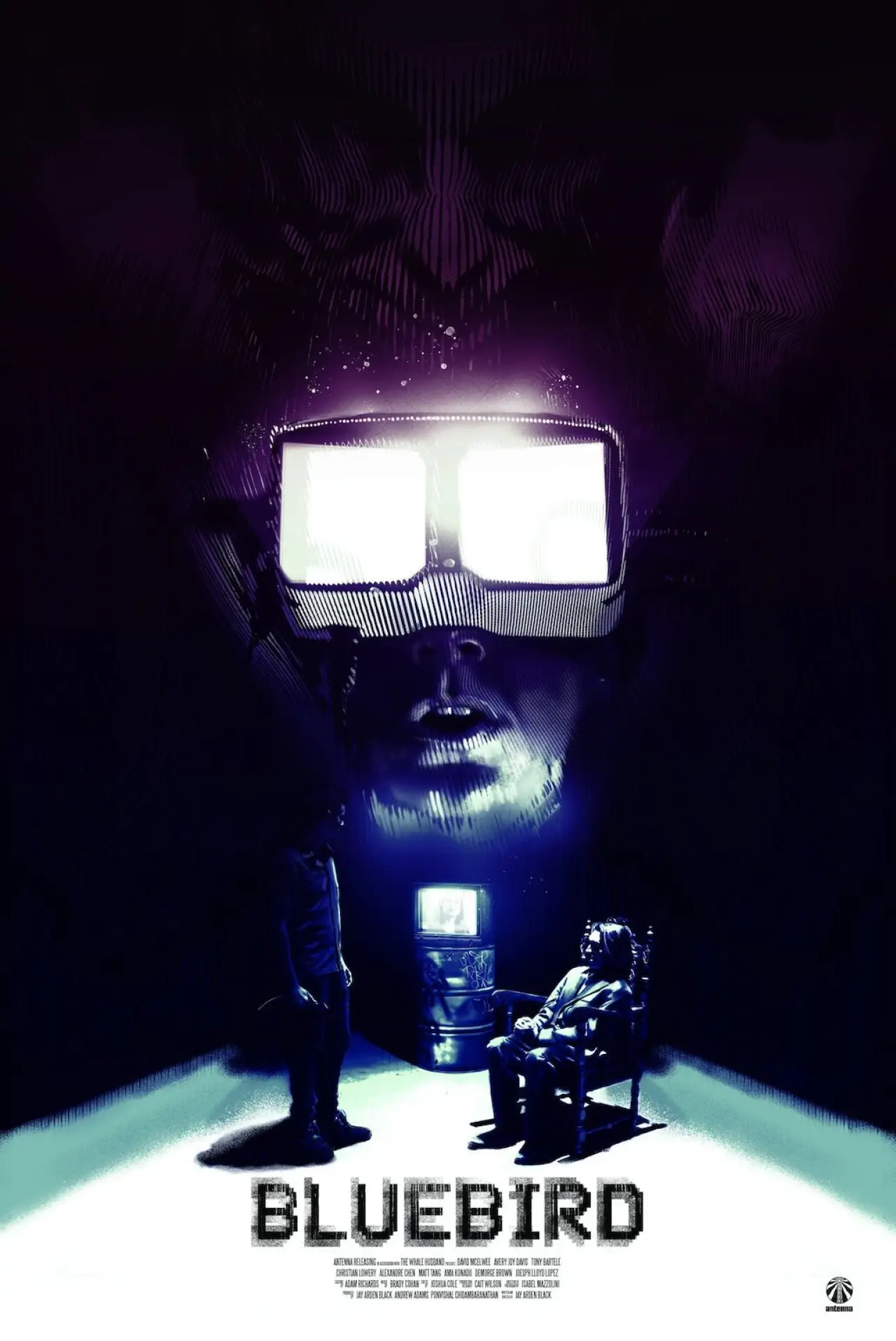 Plakat filmowy "Bluebird"