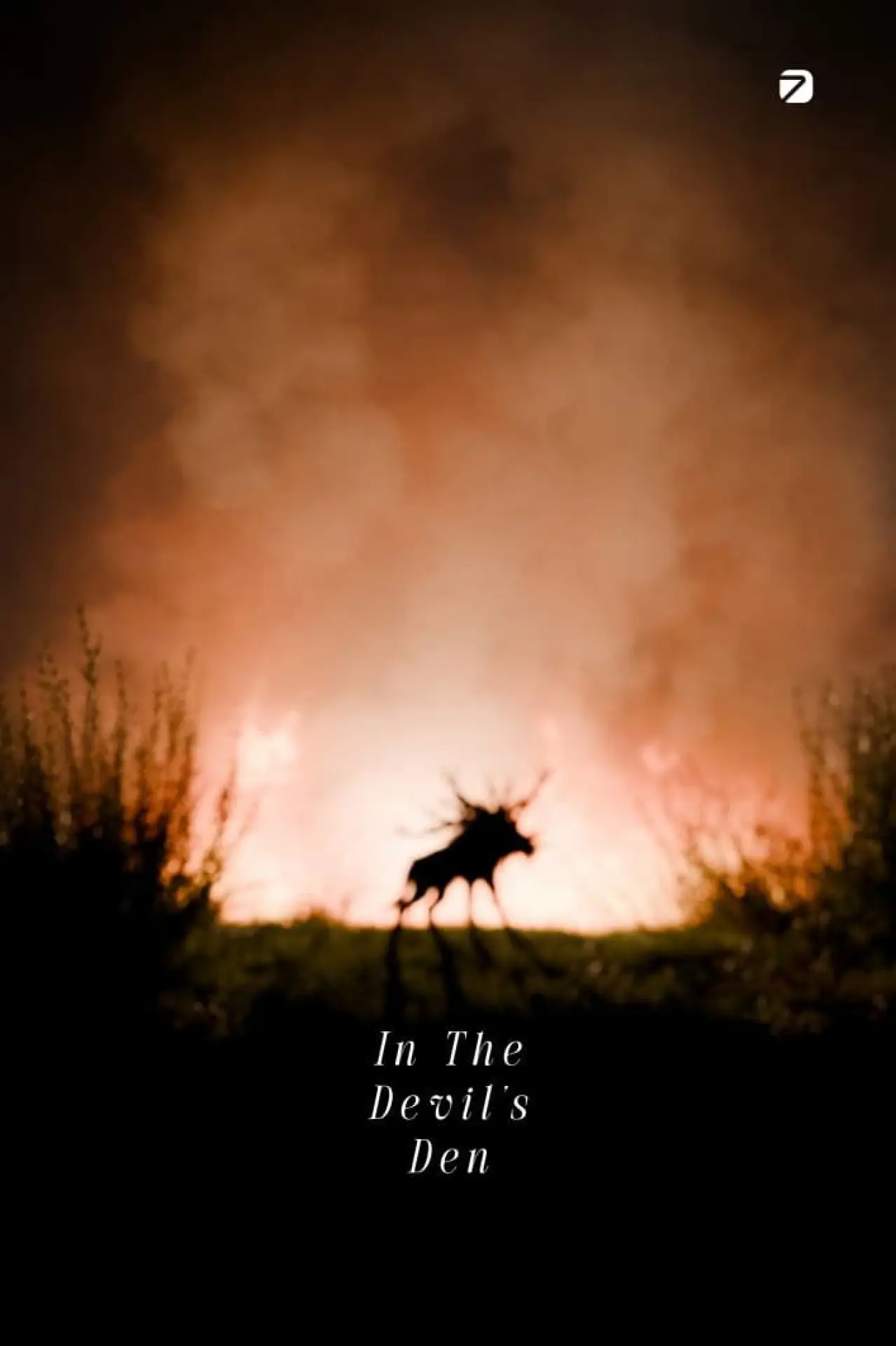 Plakat filmowy "In The Devil