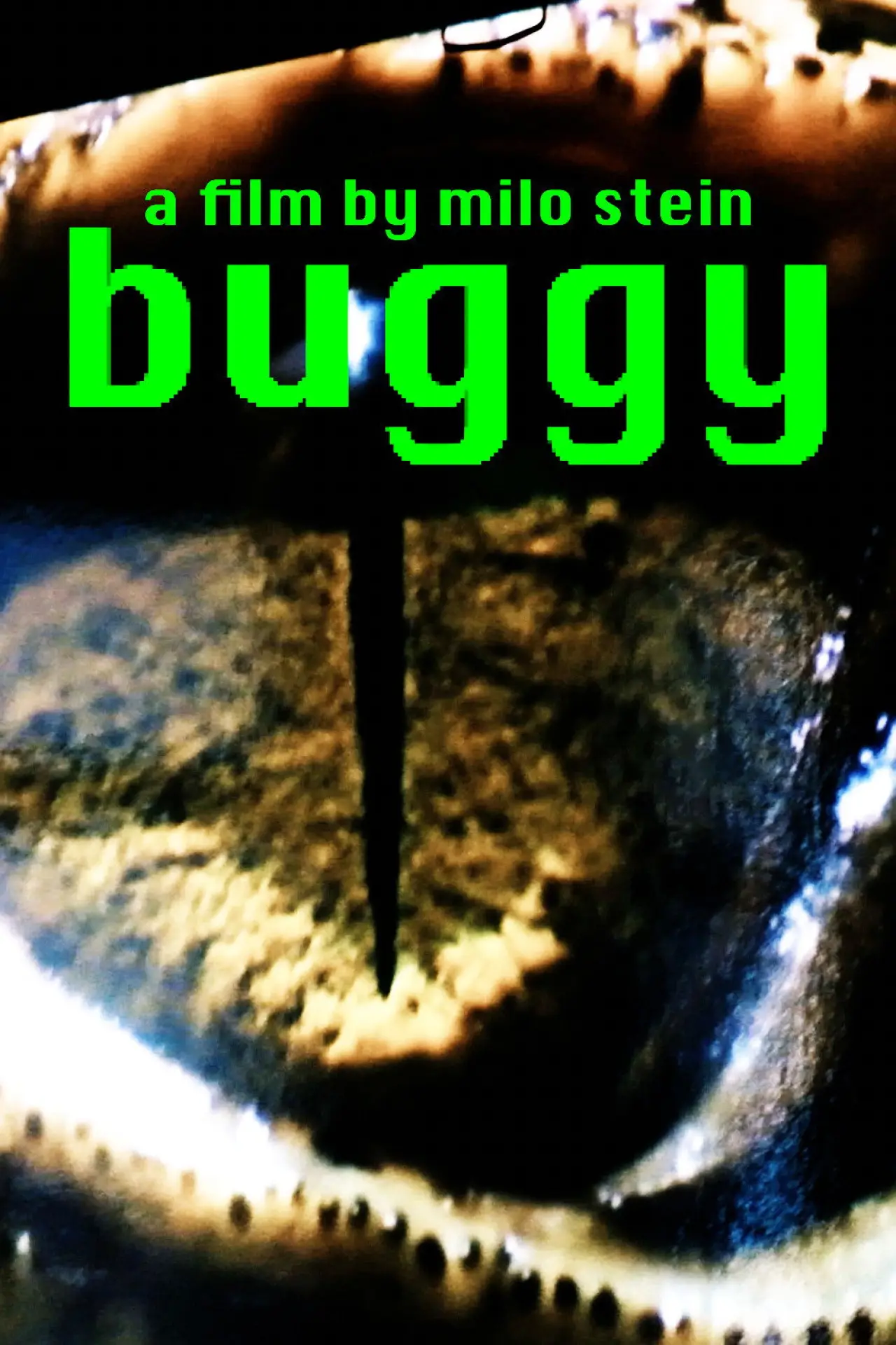 Plakat filmowy "buggy"