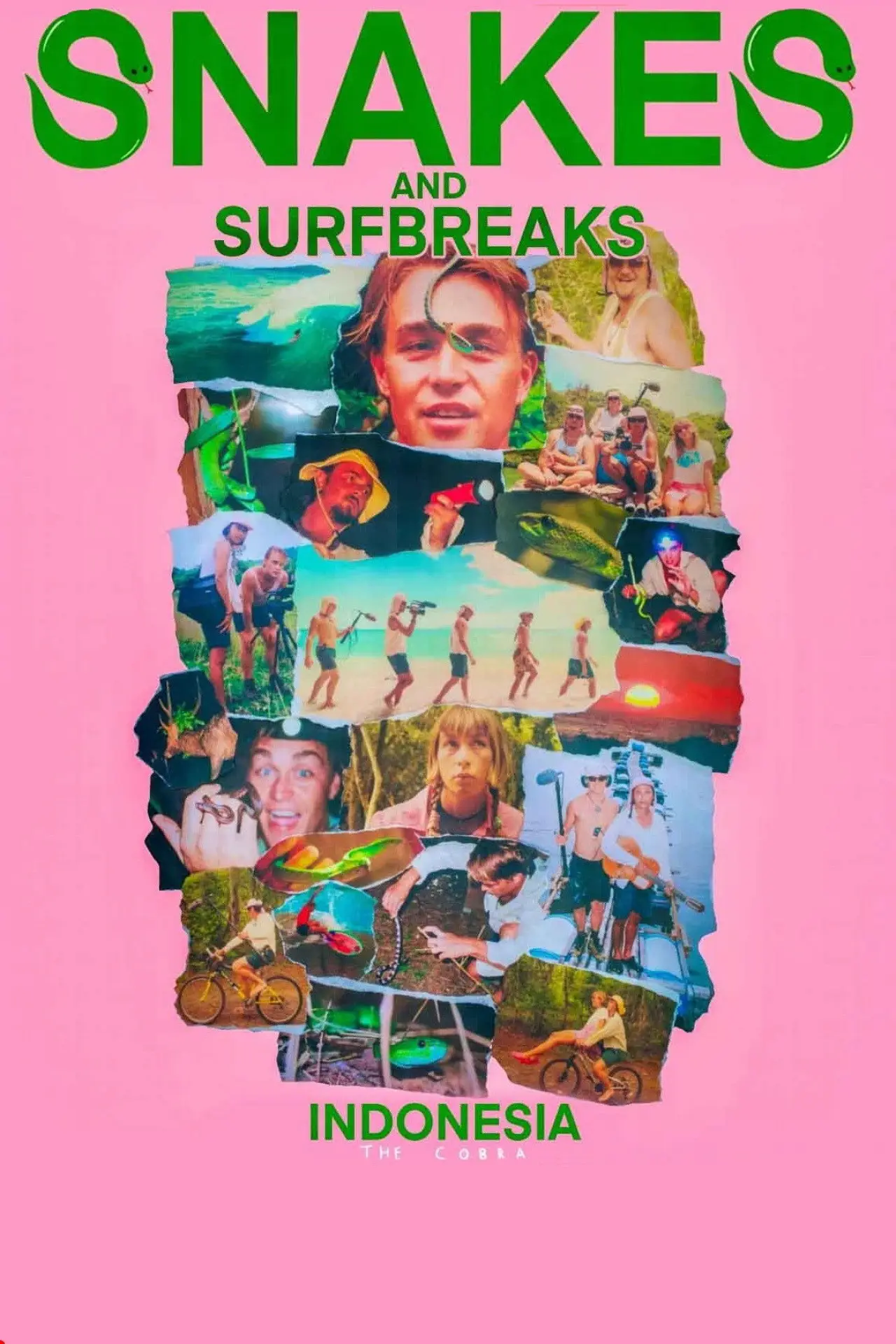 Plakat filmowy "Snakes and Surf Breaks"