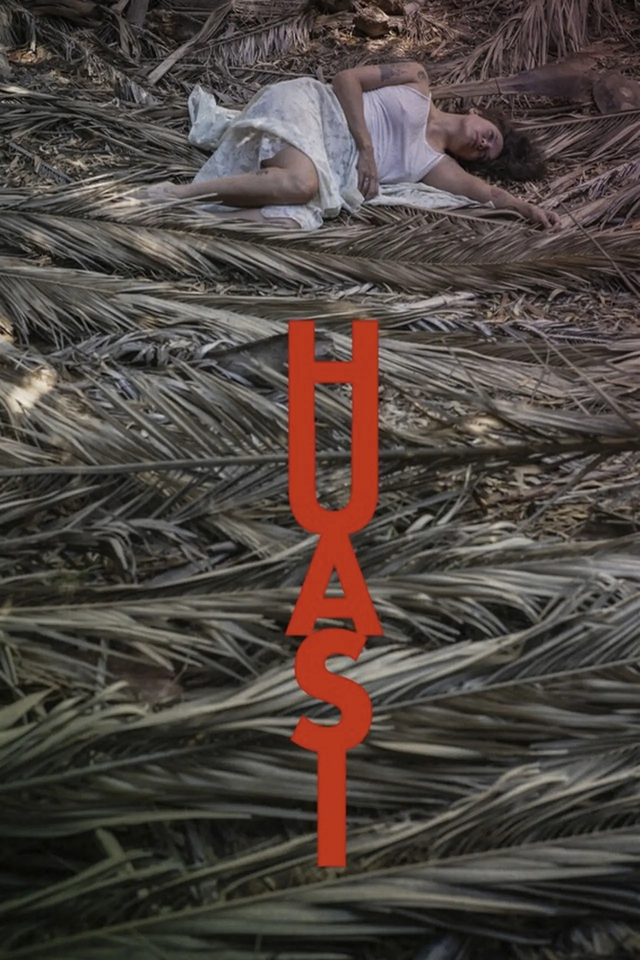 Plakat filmowy "Huasi"