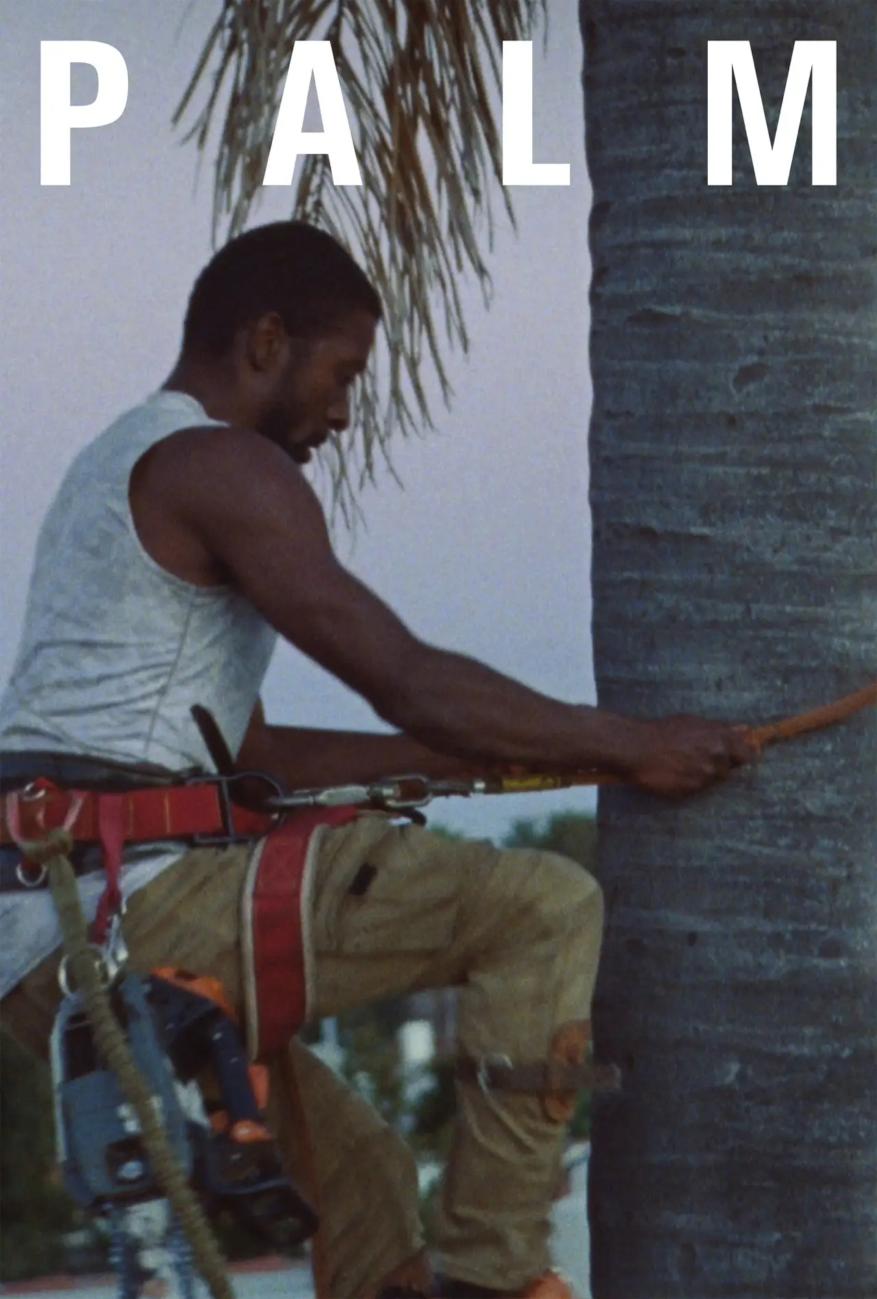 Plakat filmowy "Palm"