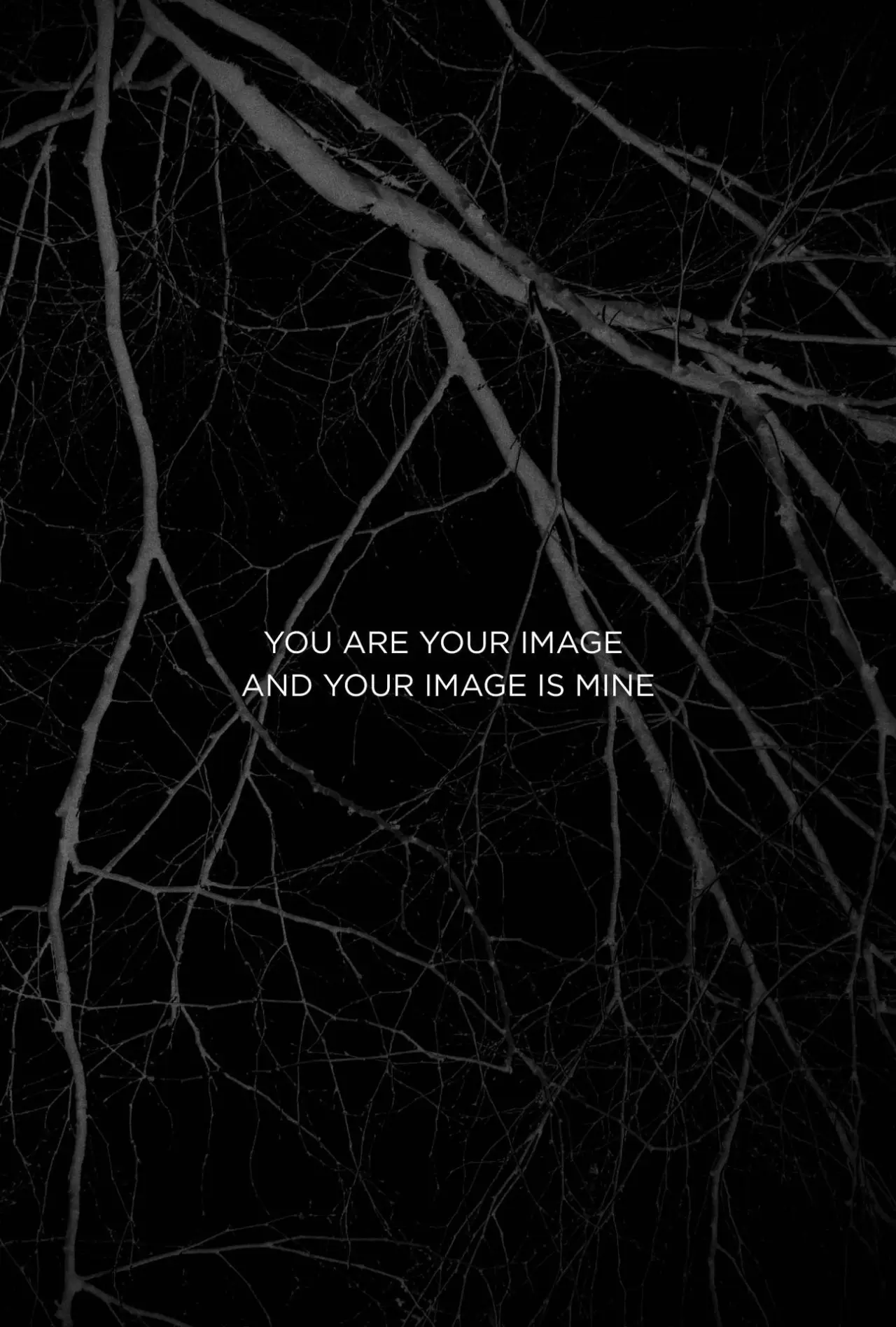 Plakat filmowy "You Are Your Image And Your Image Is Mine"