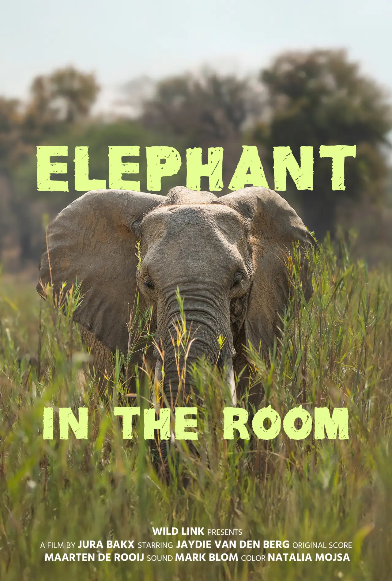 Plakat filmowy "Elephant in the Room"