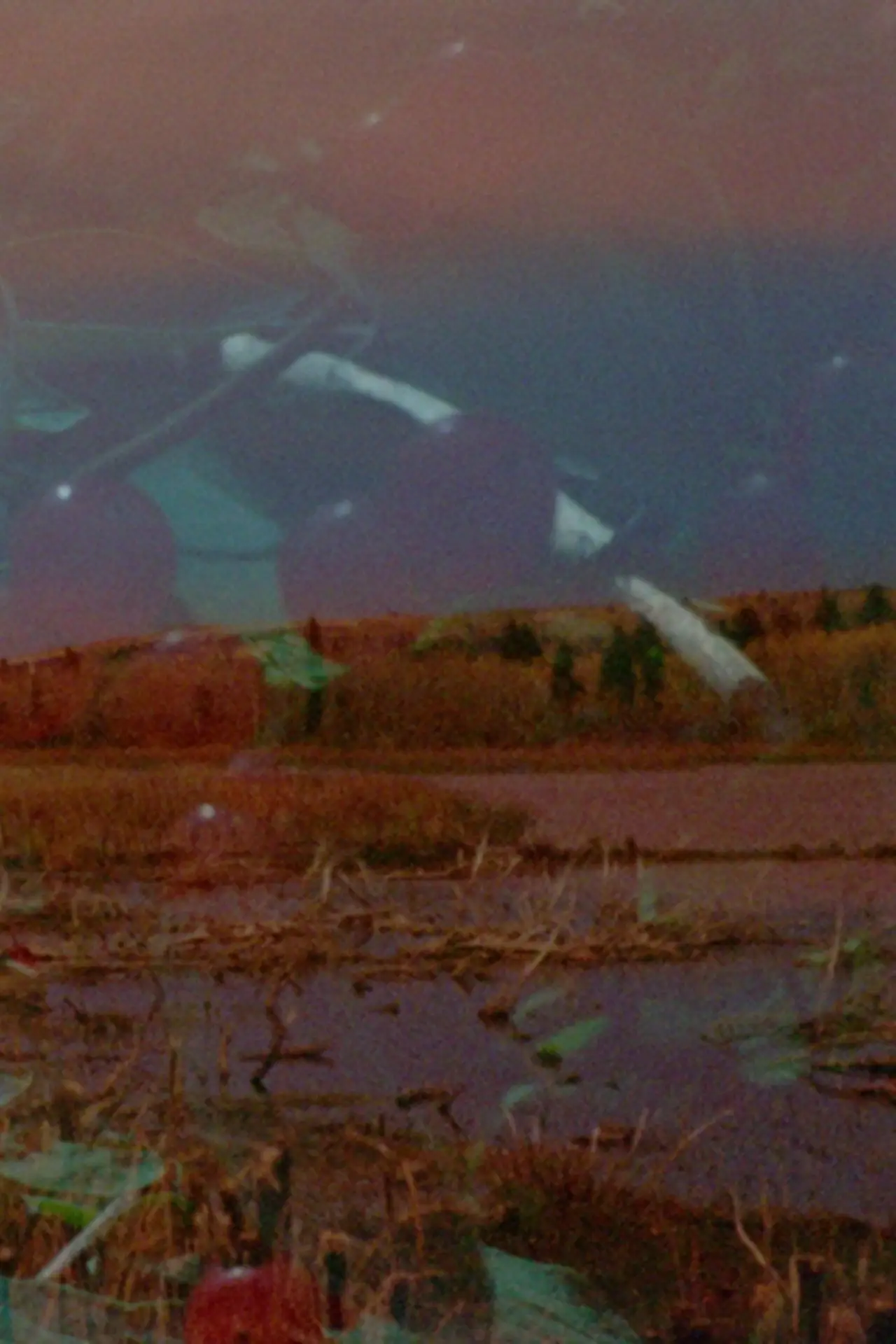 Plakat filmowy "Mounds Above the Earth"