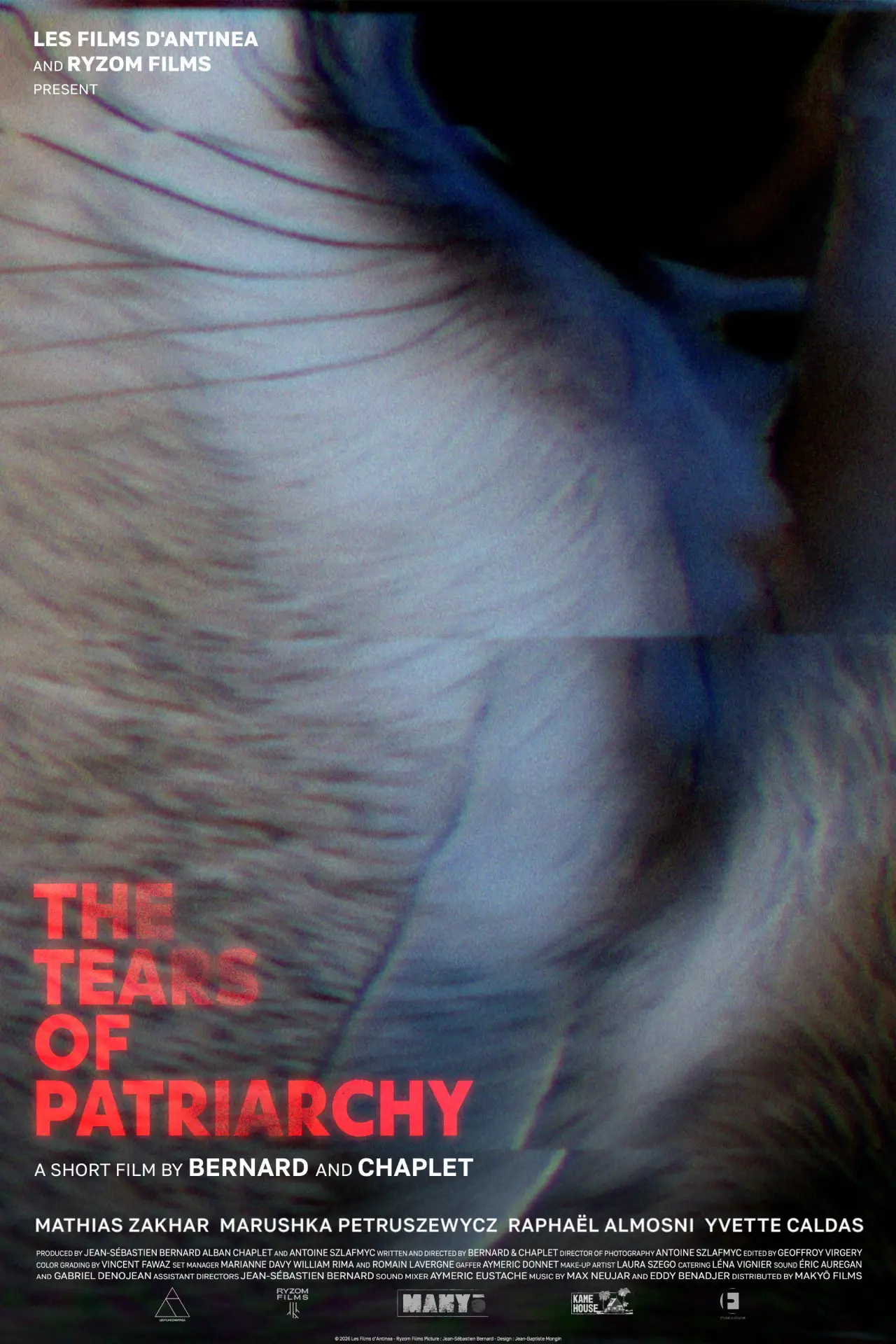 Plakat filmowy "Les Larmes du Patriarcat"