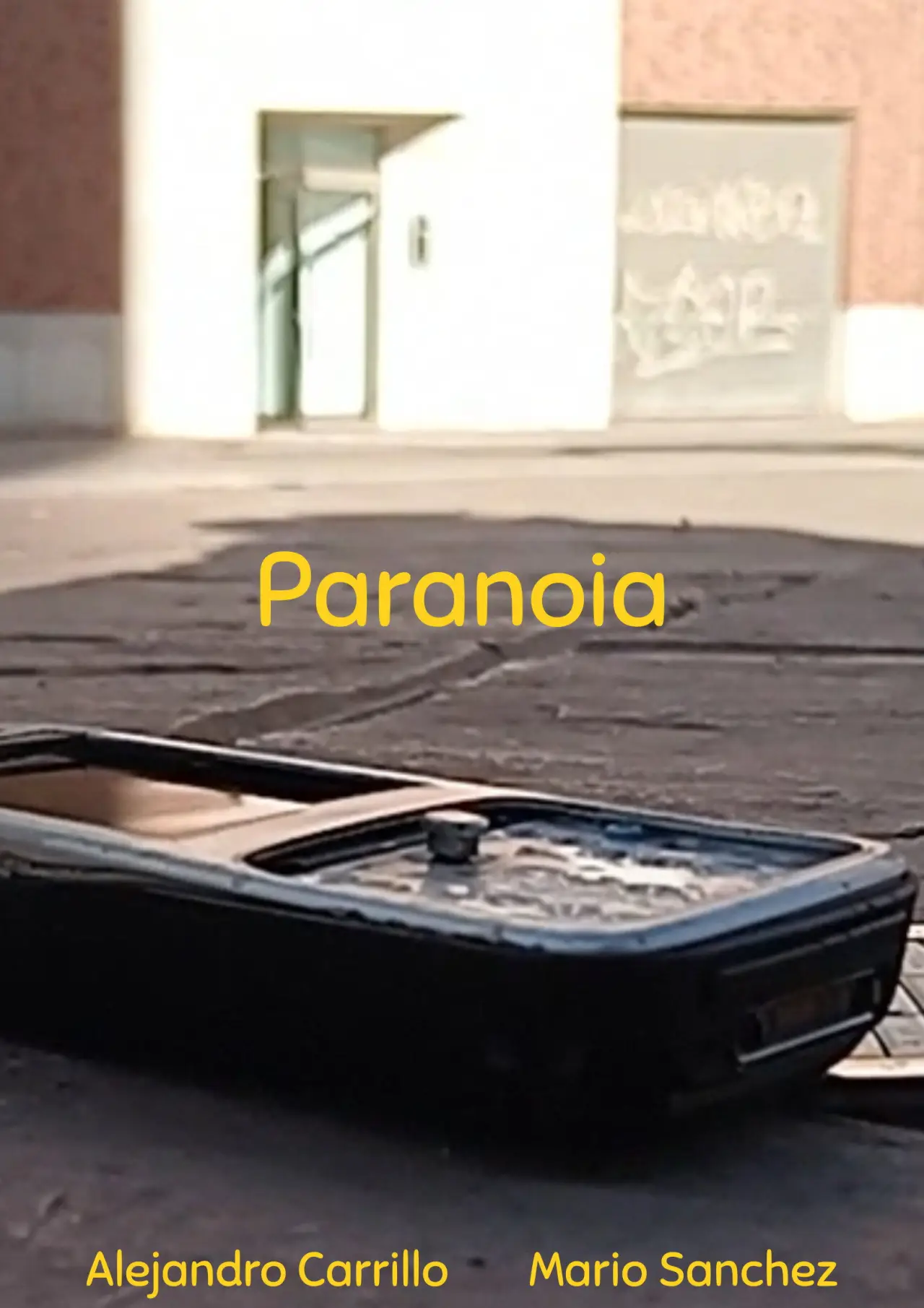 Plakat filmowy "Paranoia"