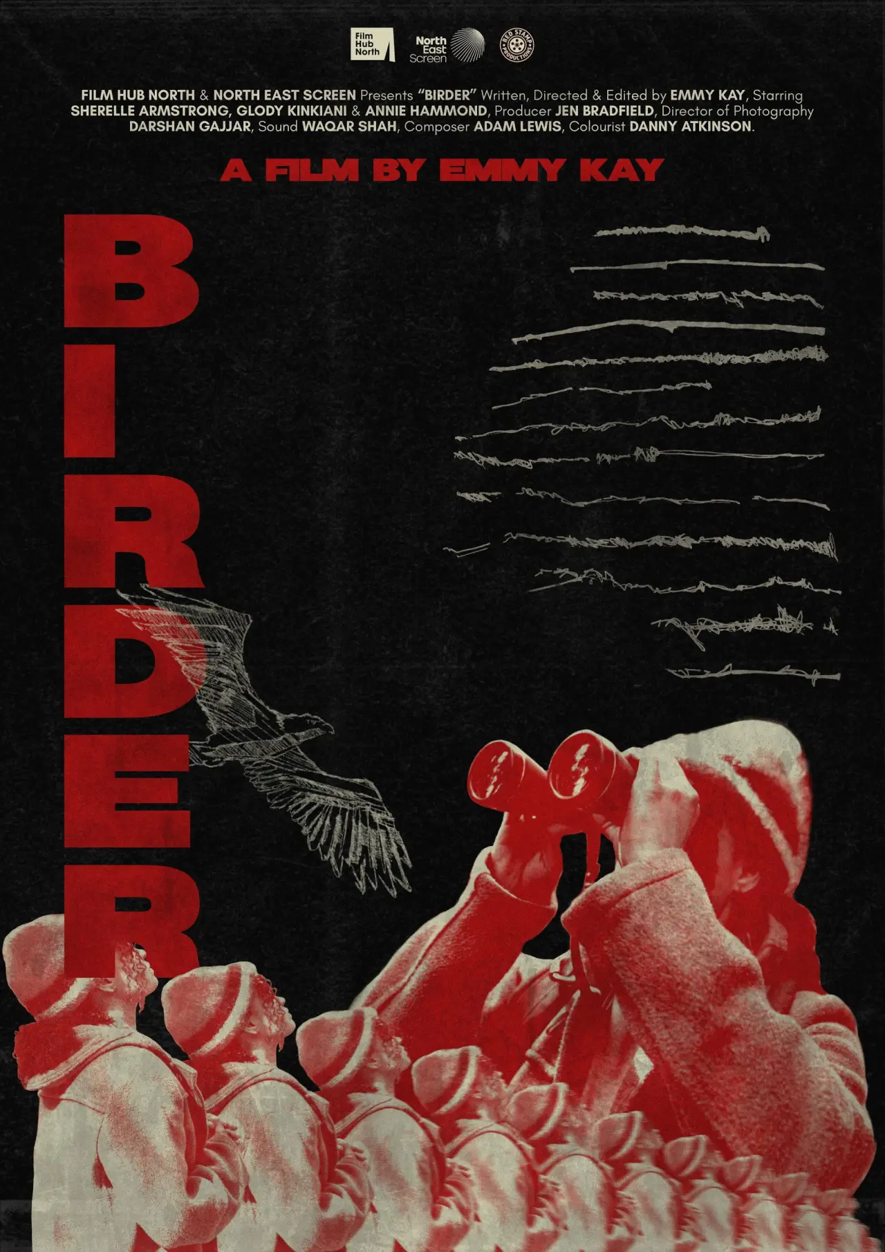 Plakat filmowy "Birder"
