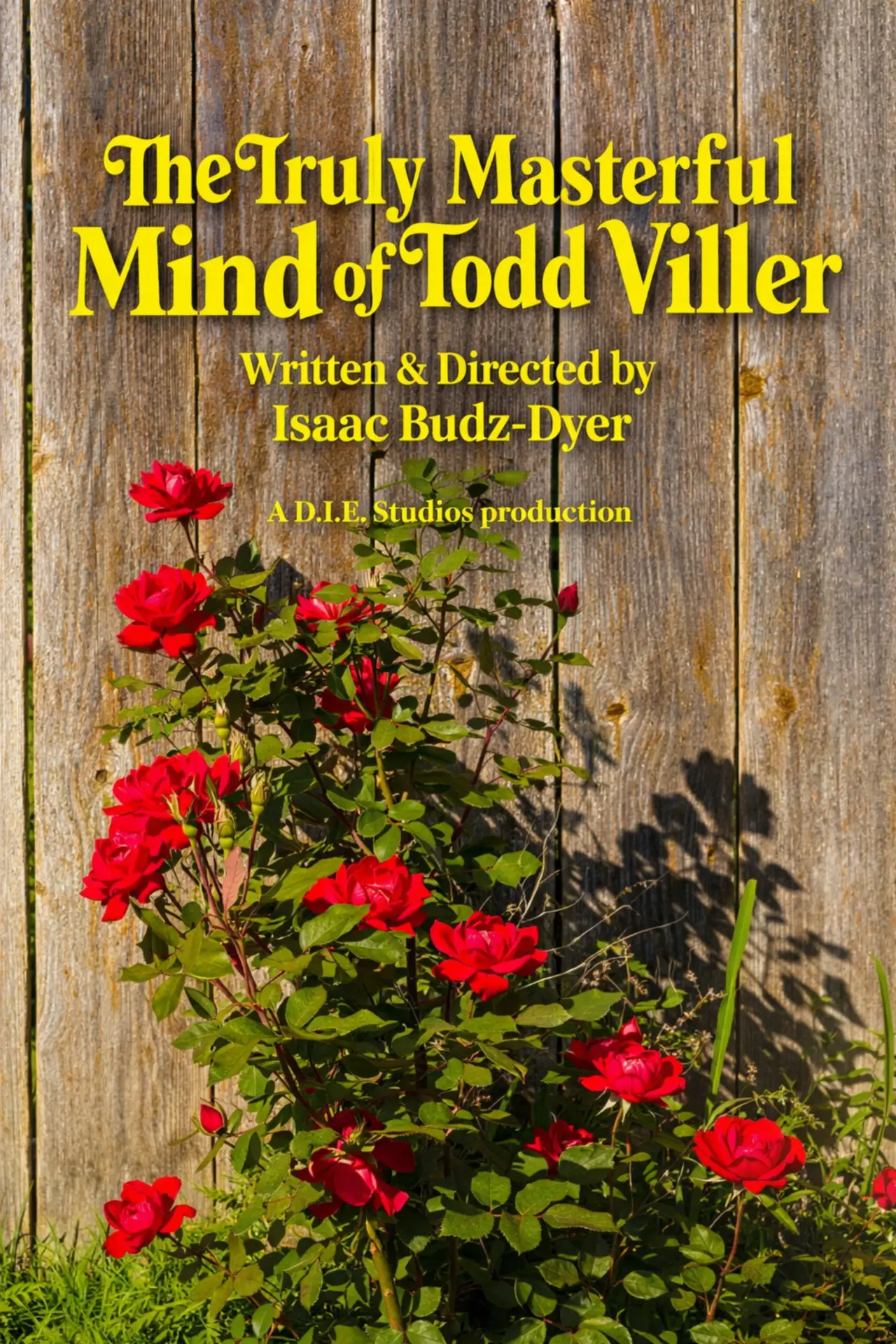Plakat filmowy "The Truly Masterful Mind of Todd Viller"