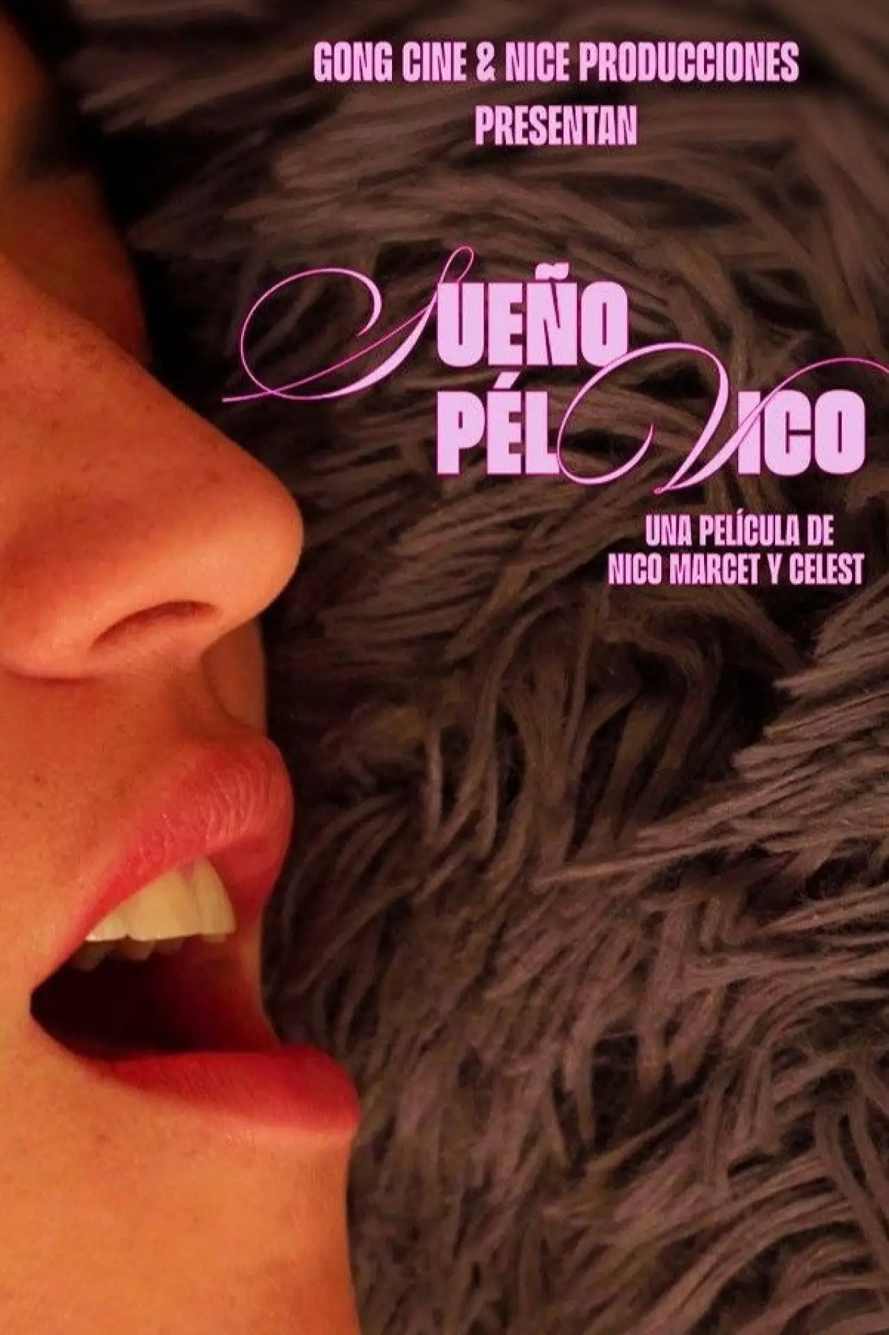 Plakat filmowy "Sueño pélvico"
