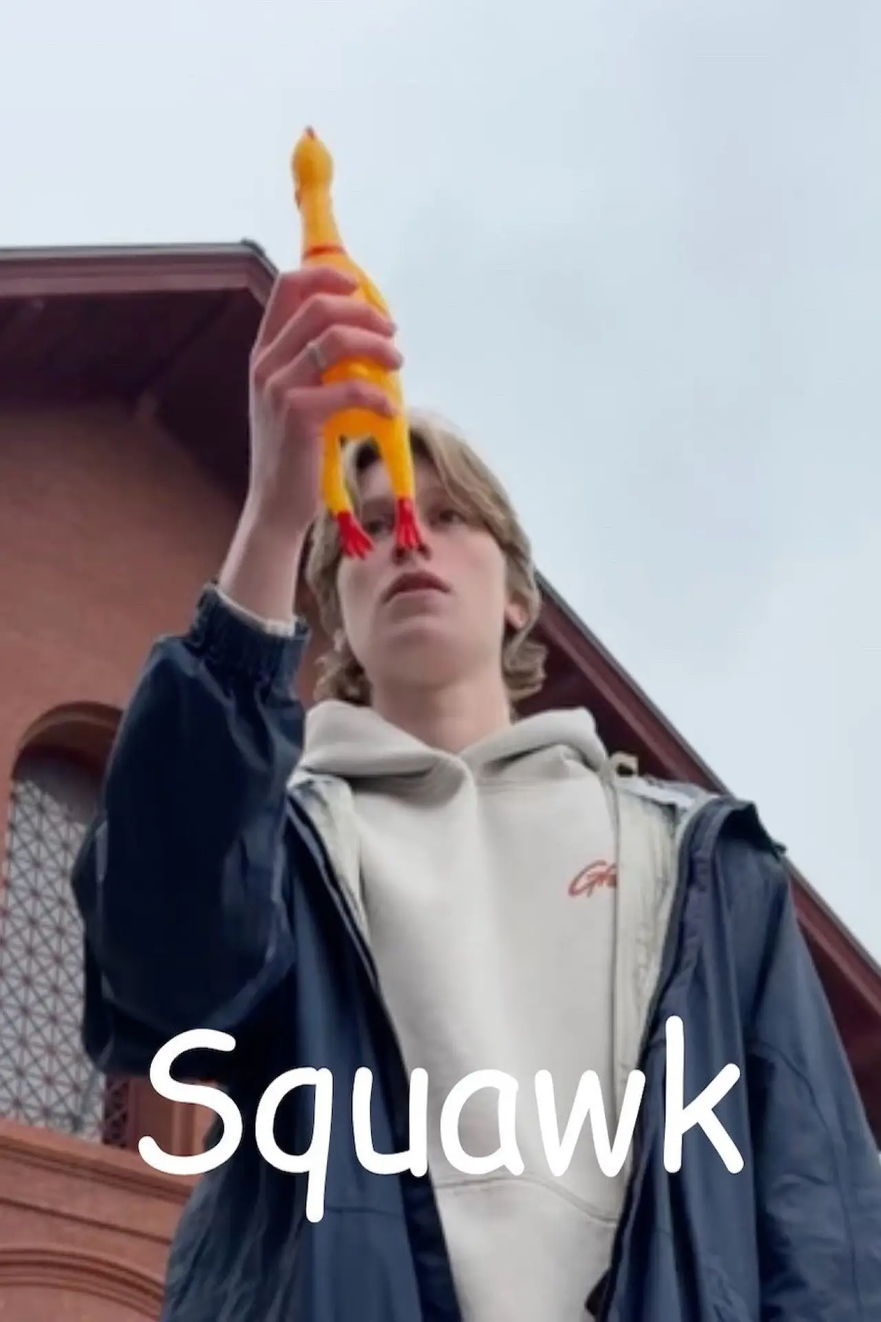 Plakat filmowy "Squawk"