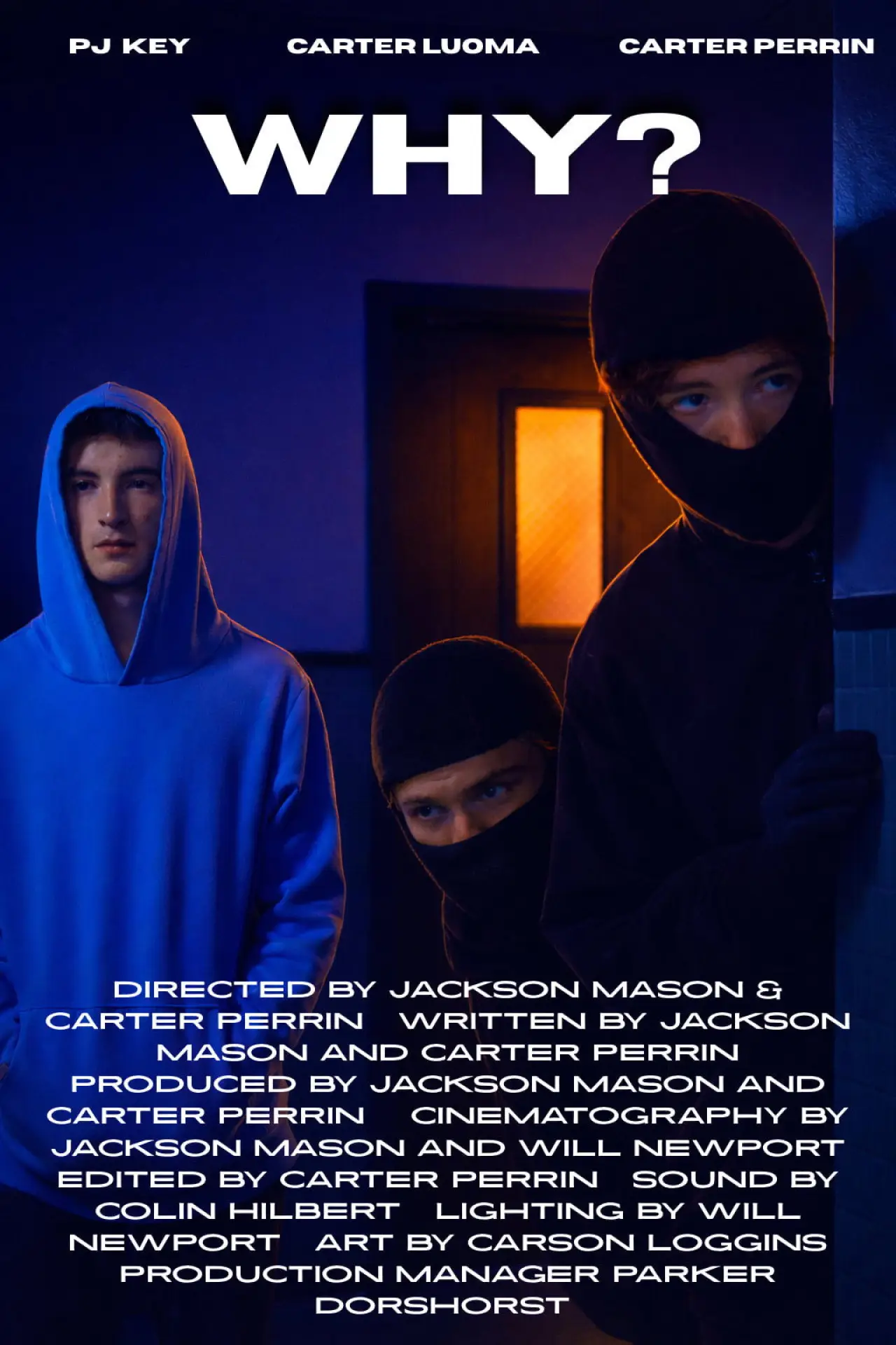 Plakat filmowy "Why?"