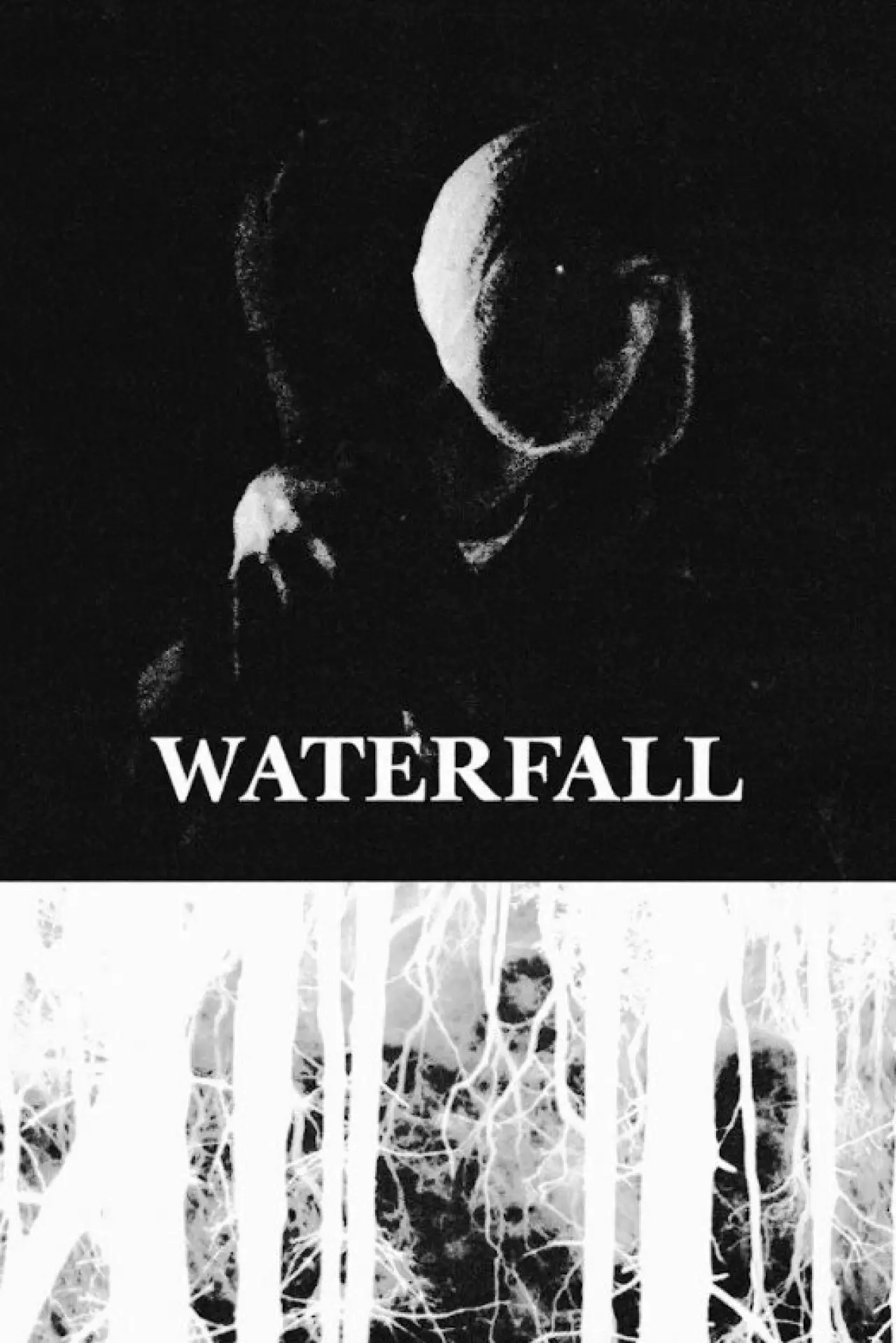 Plakat filmowy "Waterfall"
