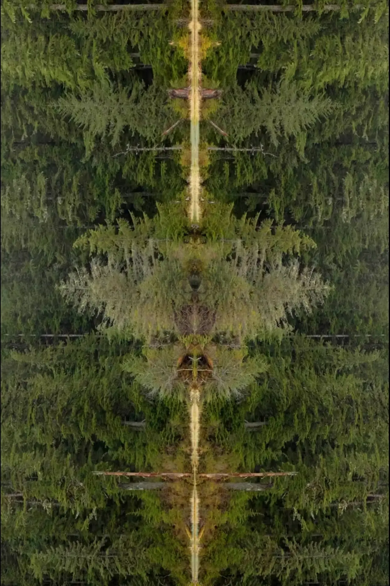 Plakat filmowy "Mirrorpond"