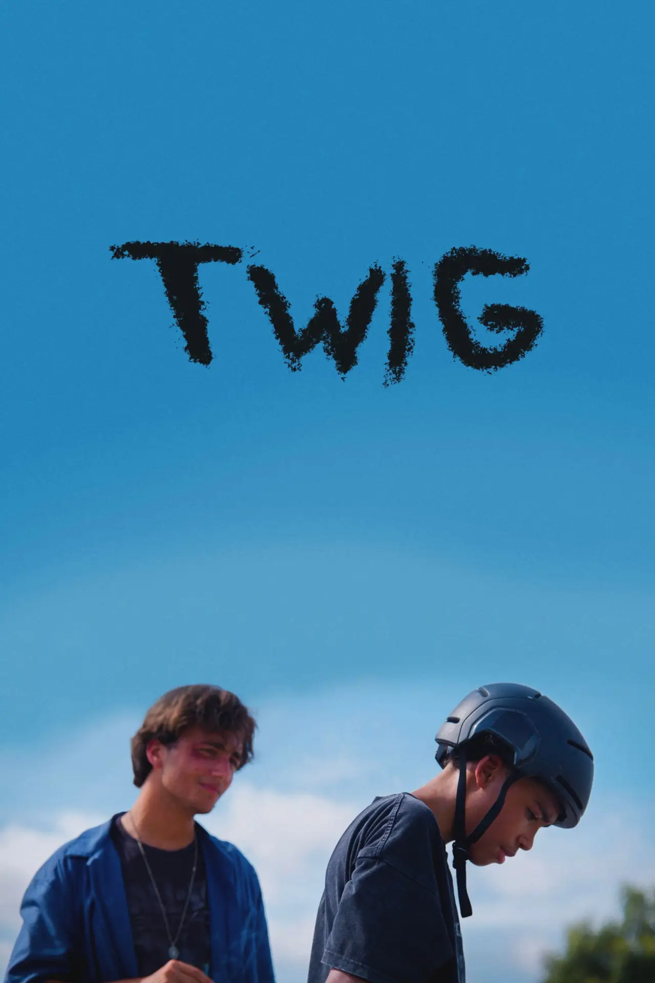 Plakat filmowy "Twig"