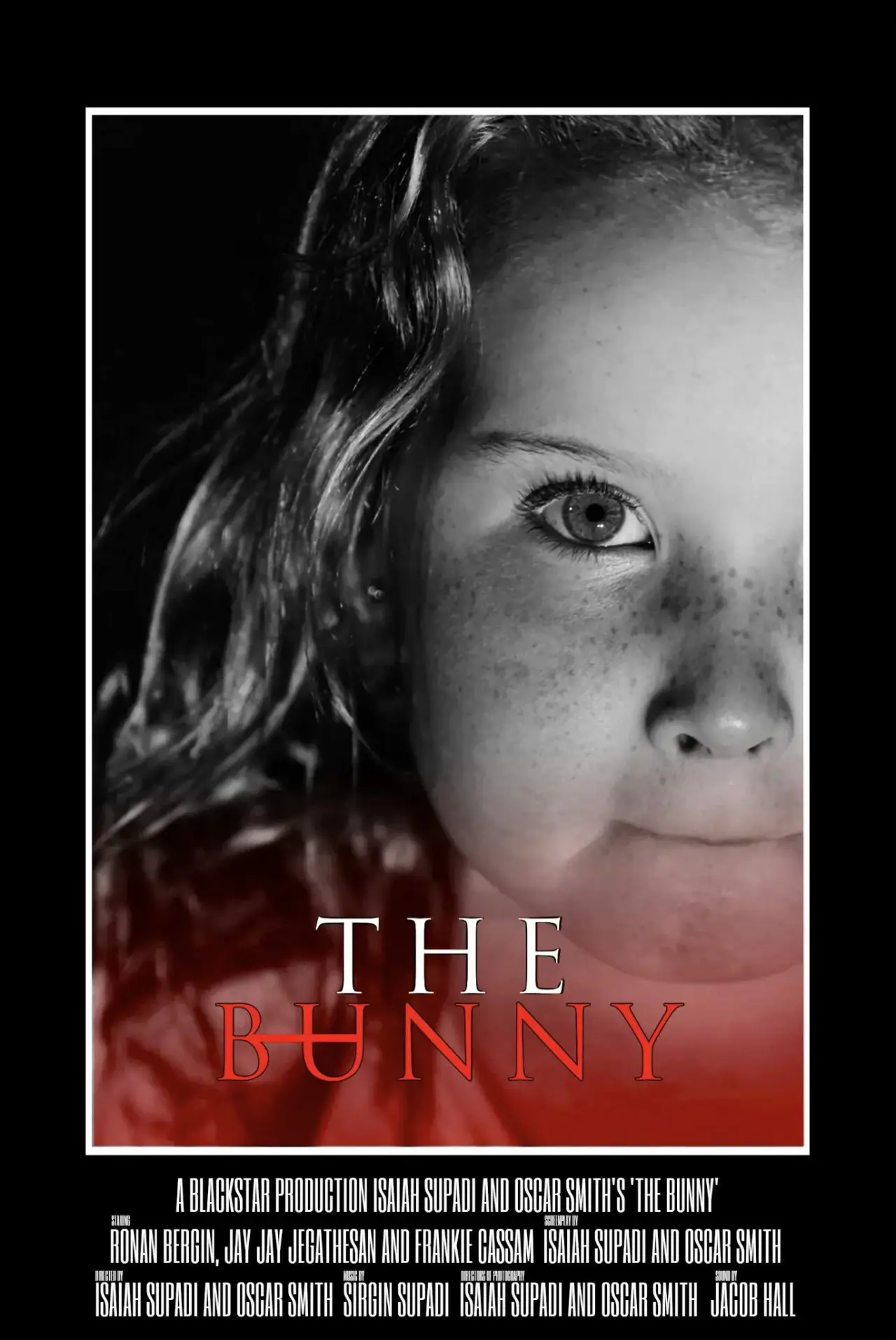 Plakat filmowy "The Bunny"