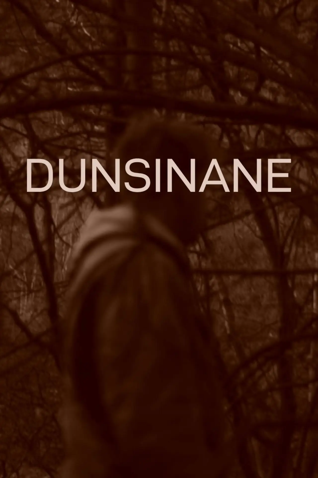 Plakat filmowy "Dunsinane"