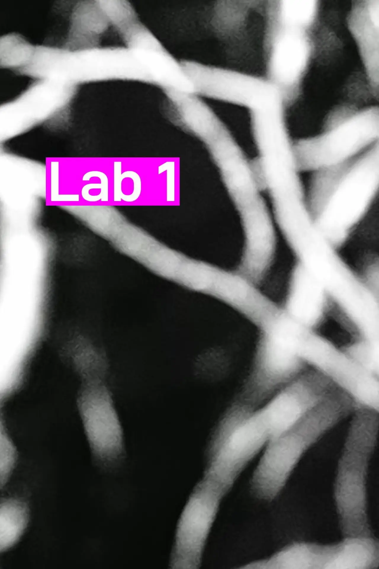 Plakat filmowy "Lab 1"