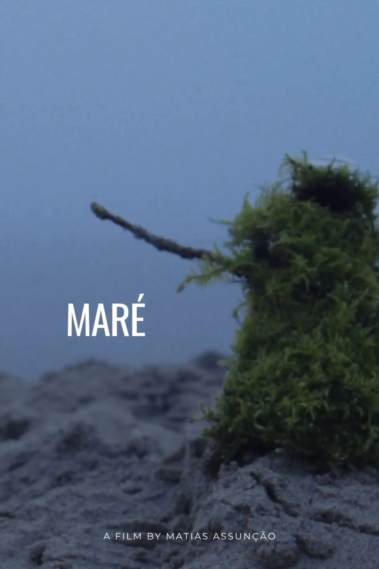 Plakat filmowy "Maré"