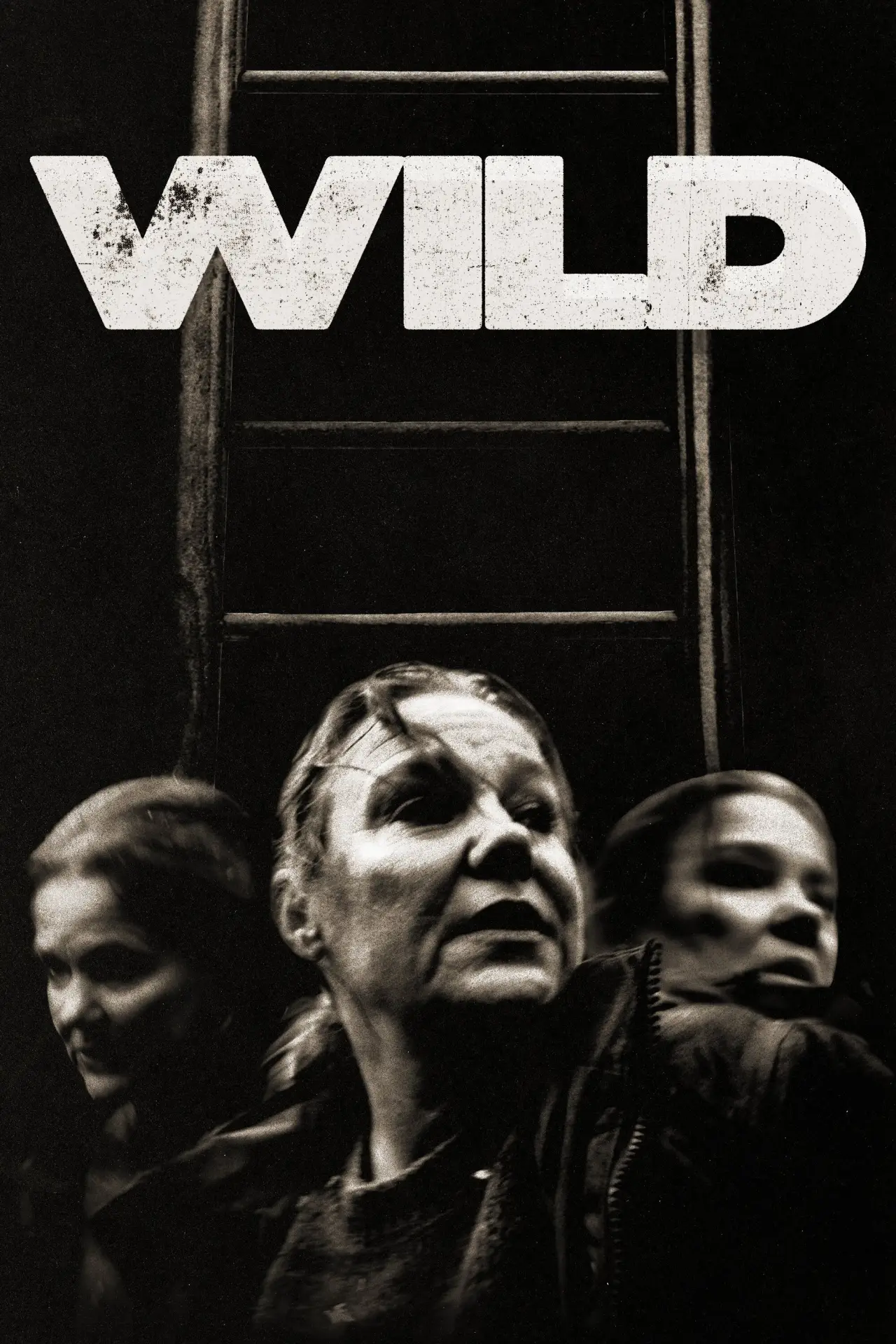 Plakat filmowy "Wild"