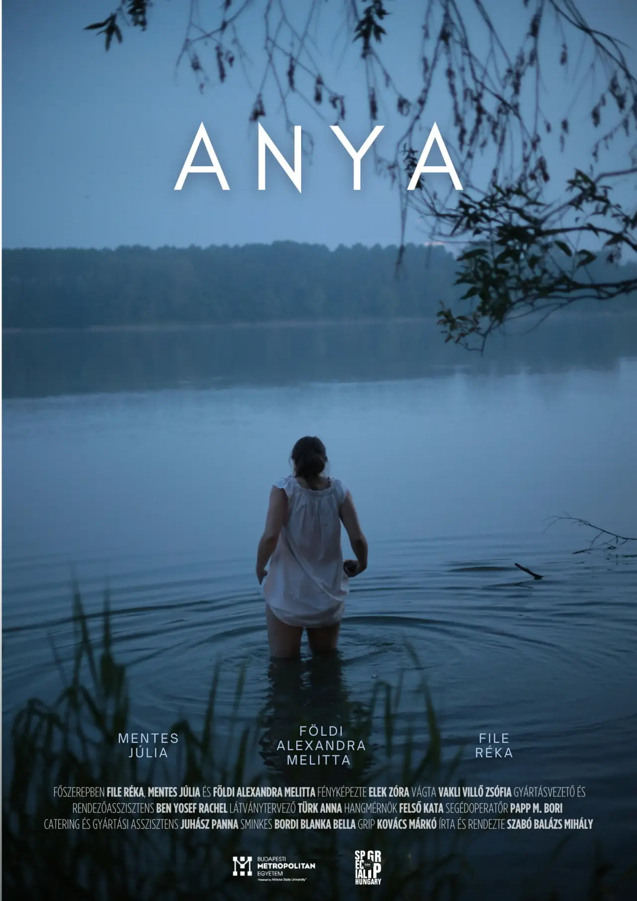 Plakat filmowy "Anya"
