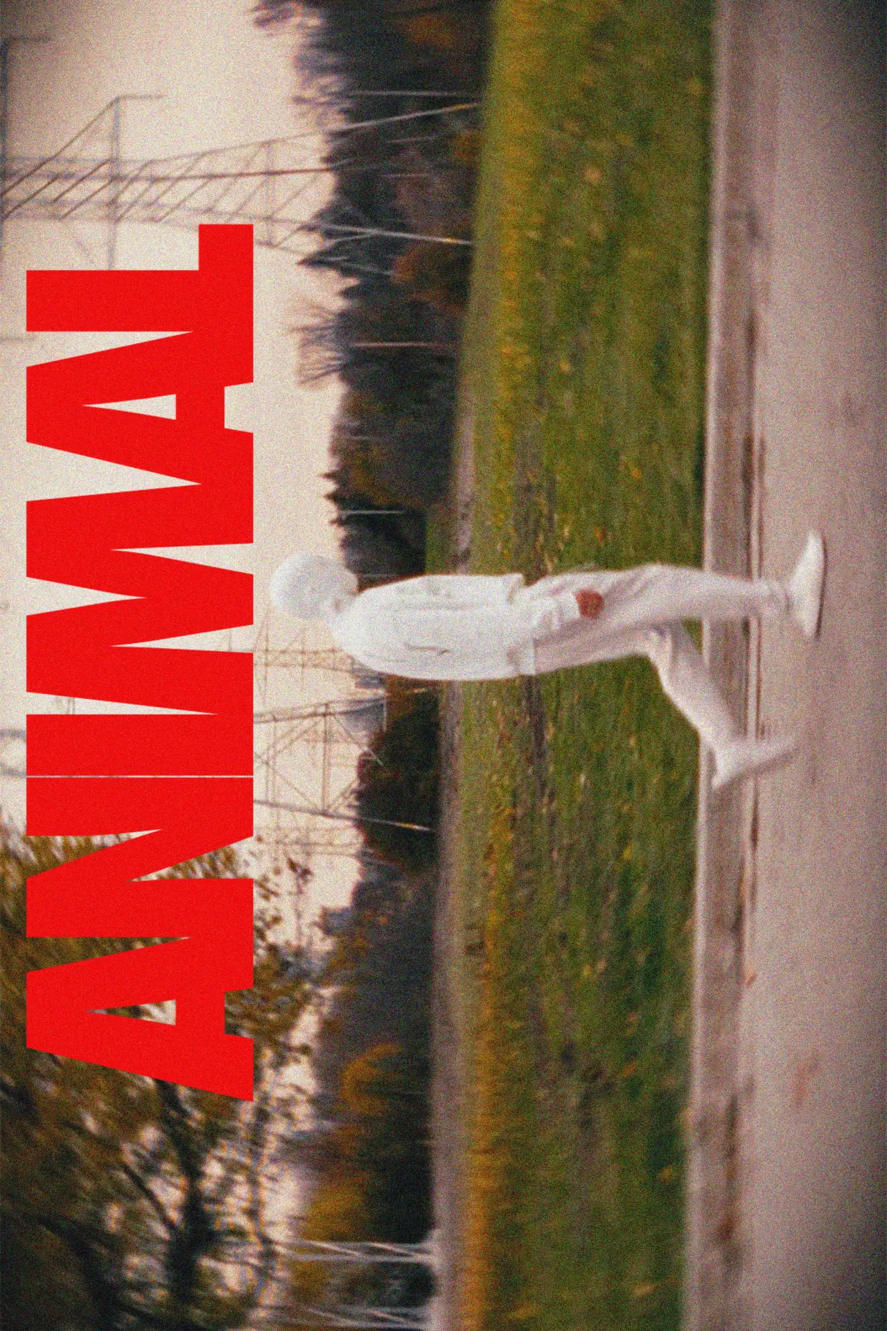 Plakat filmowy "ANIMAL"