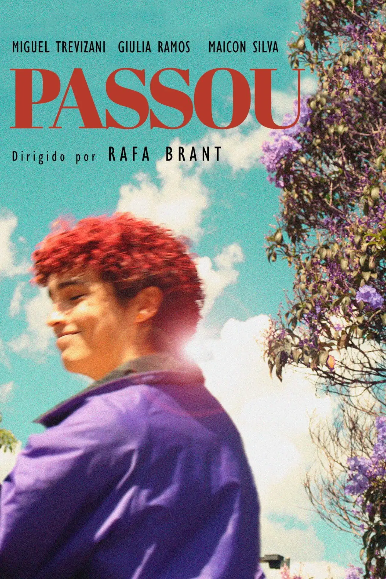 Plakat filmowy "Passou"