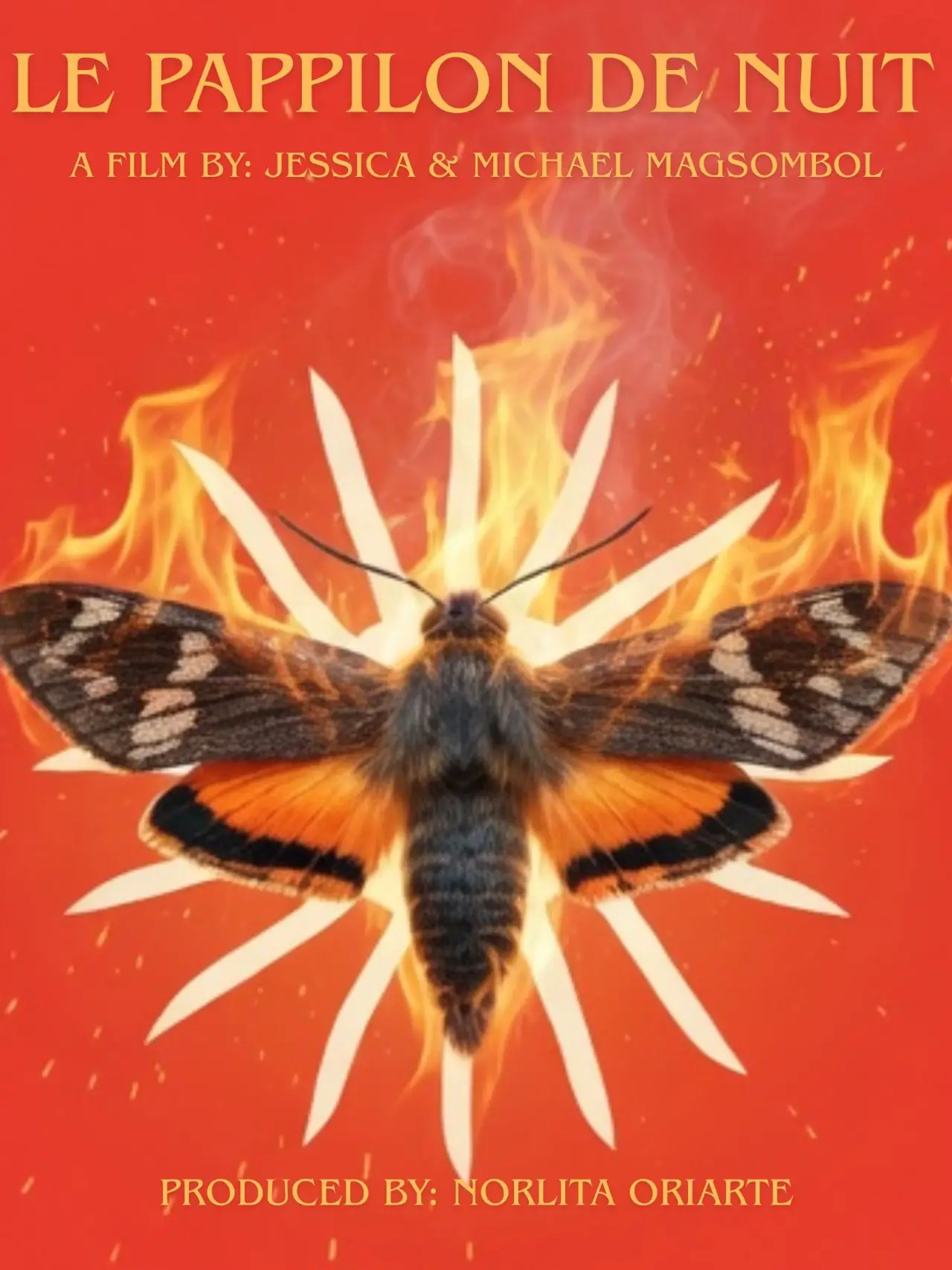 Plakat filmowy "Le Papillon de Nuit"