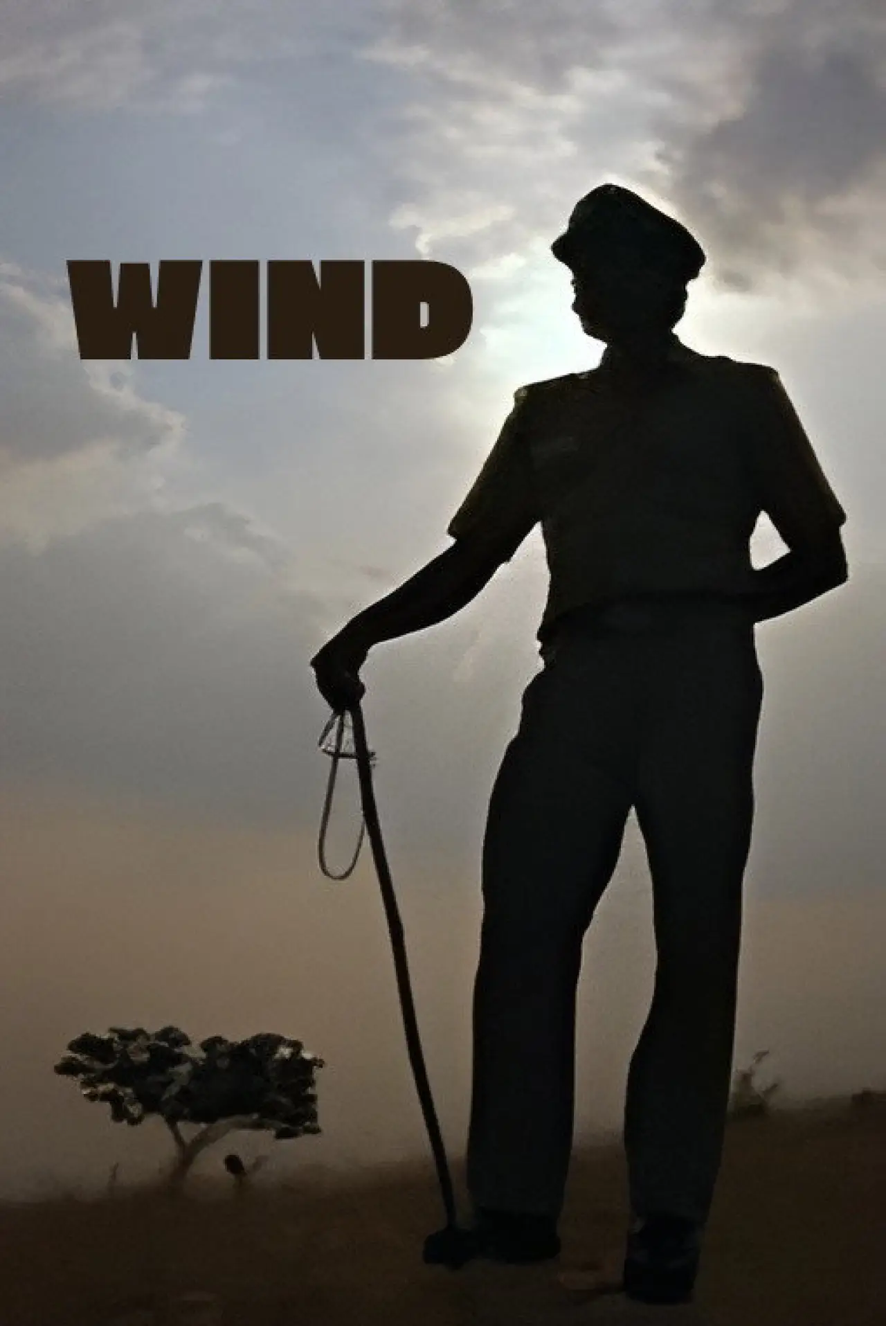 Plakat filmowy "Wind"
