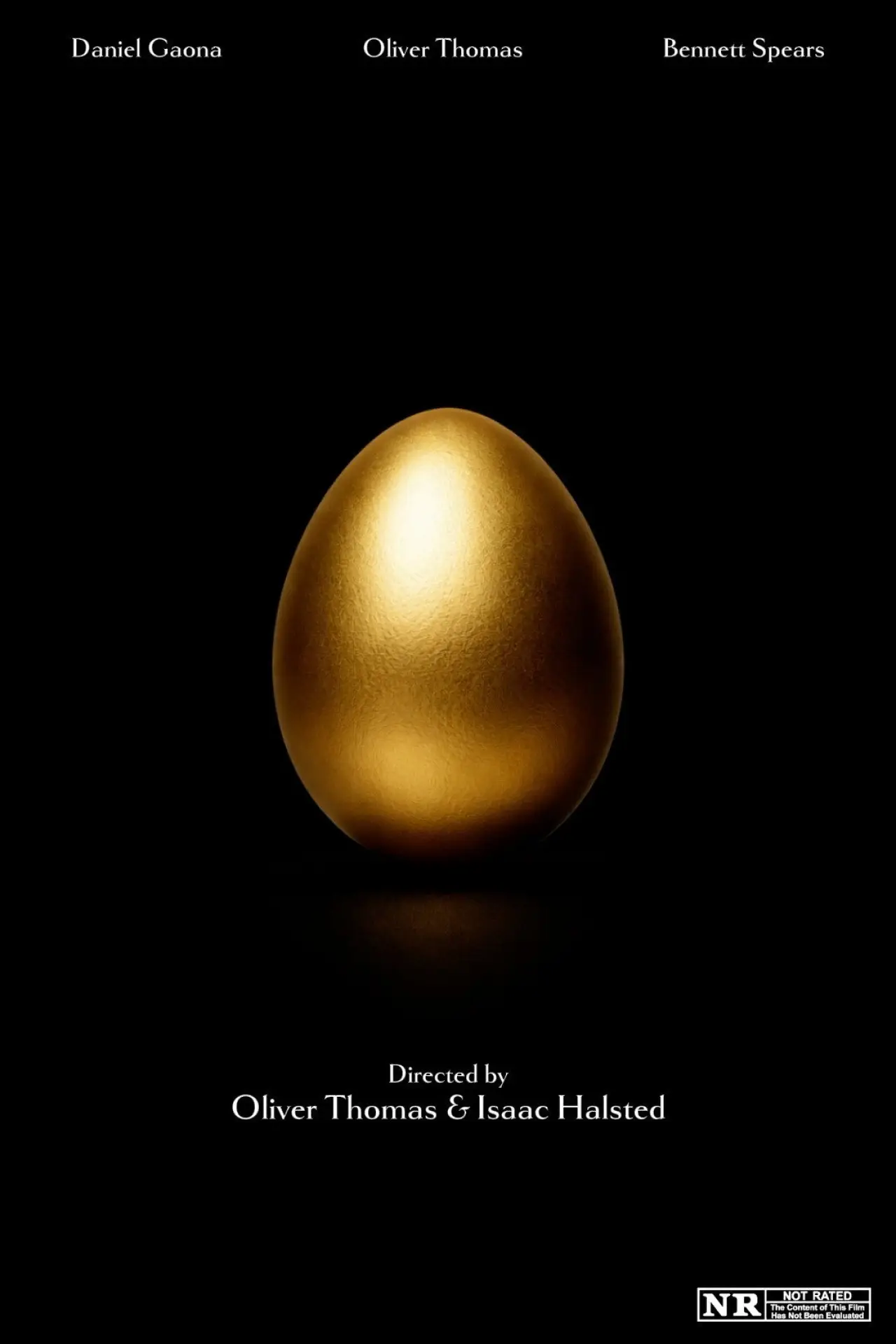 Plakat filmowy "The Heir of Hildegard"