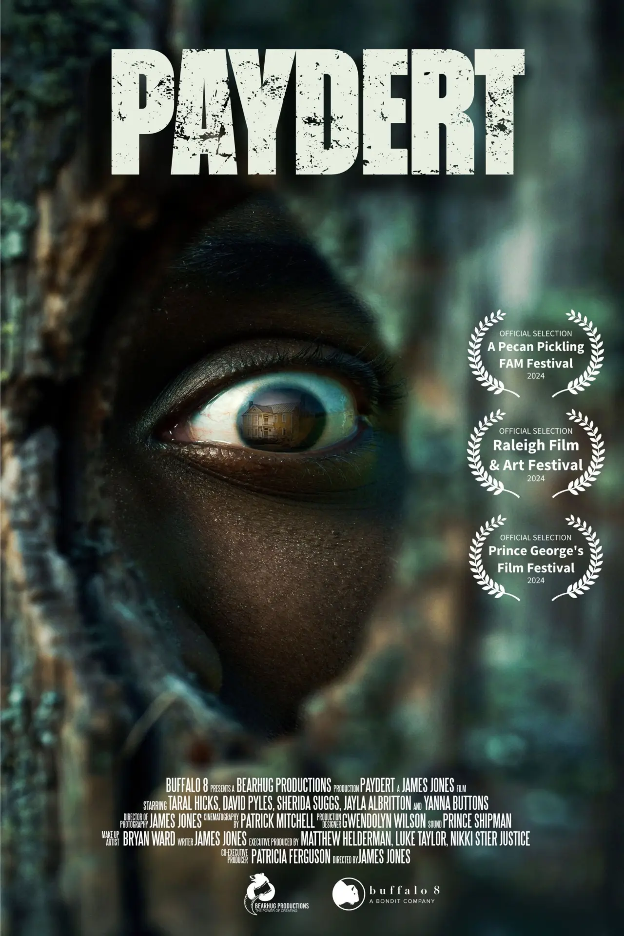 Plakat filmowy "Paydert"