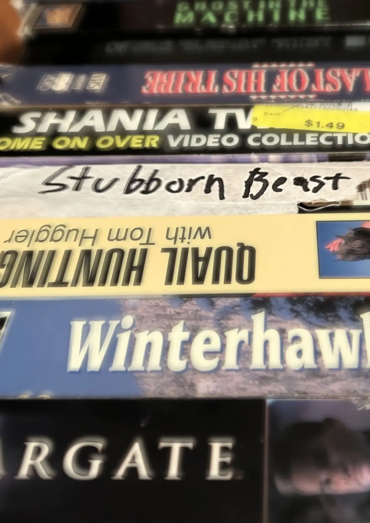 Plakat filmowy "Stubborn Beast"