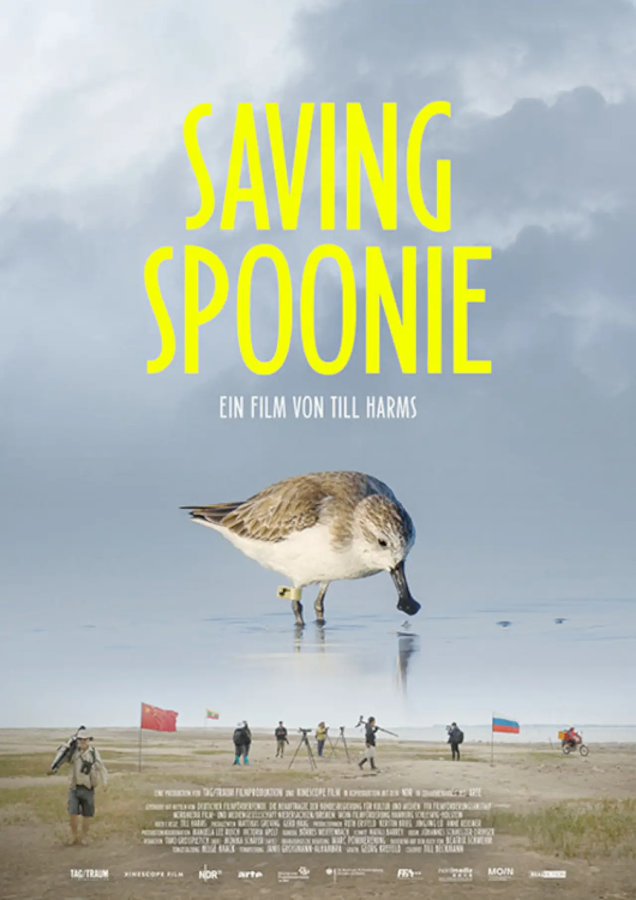 Plakat filmowy "Saving Spoonie"