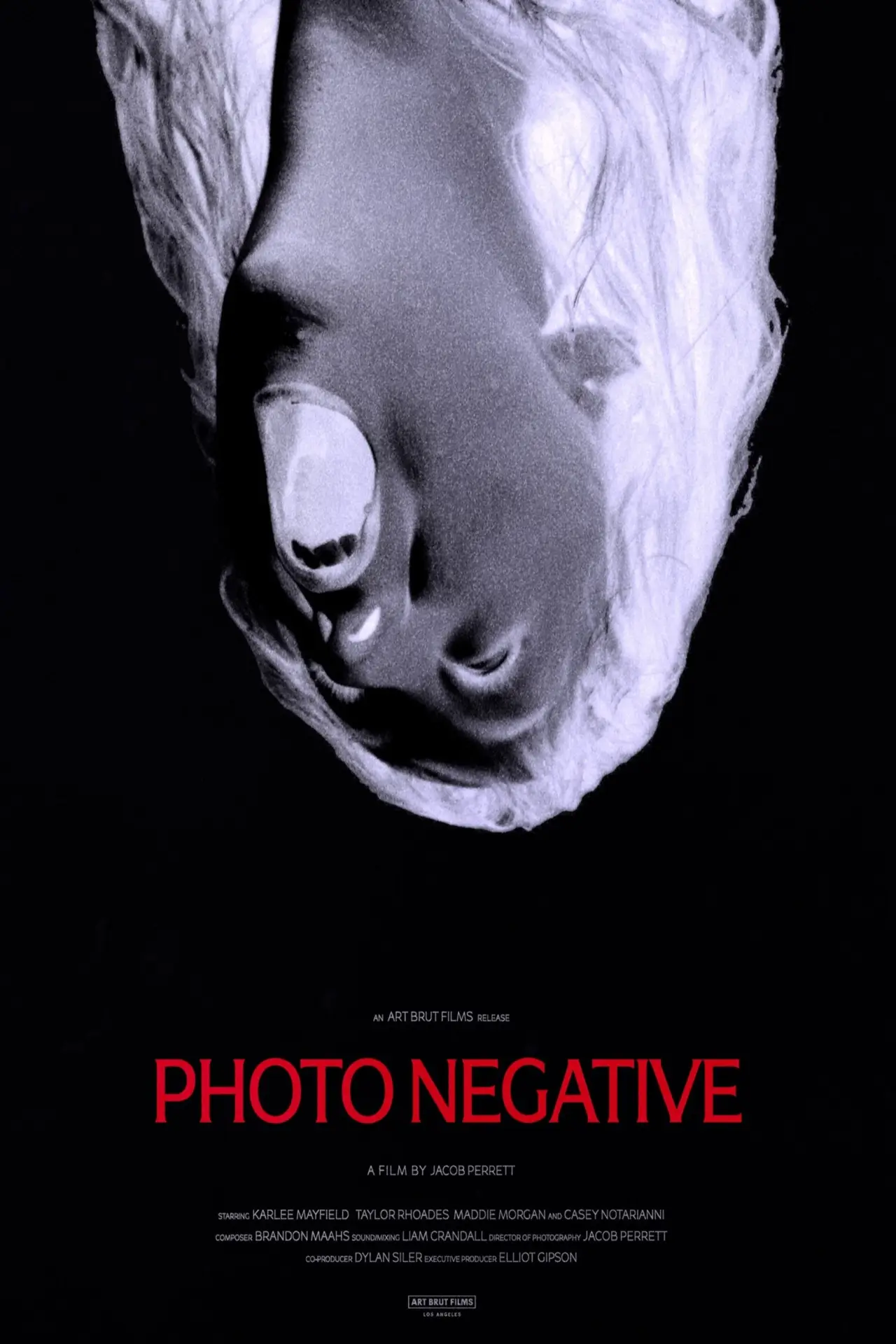 Plakat filmowy "Photo Negative"