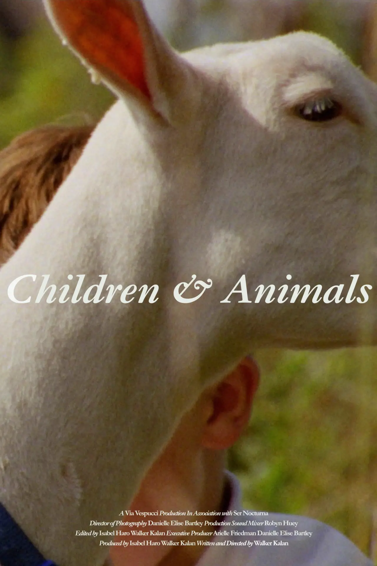 Plakat filmowy "Children & Animals"