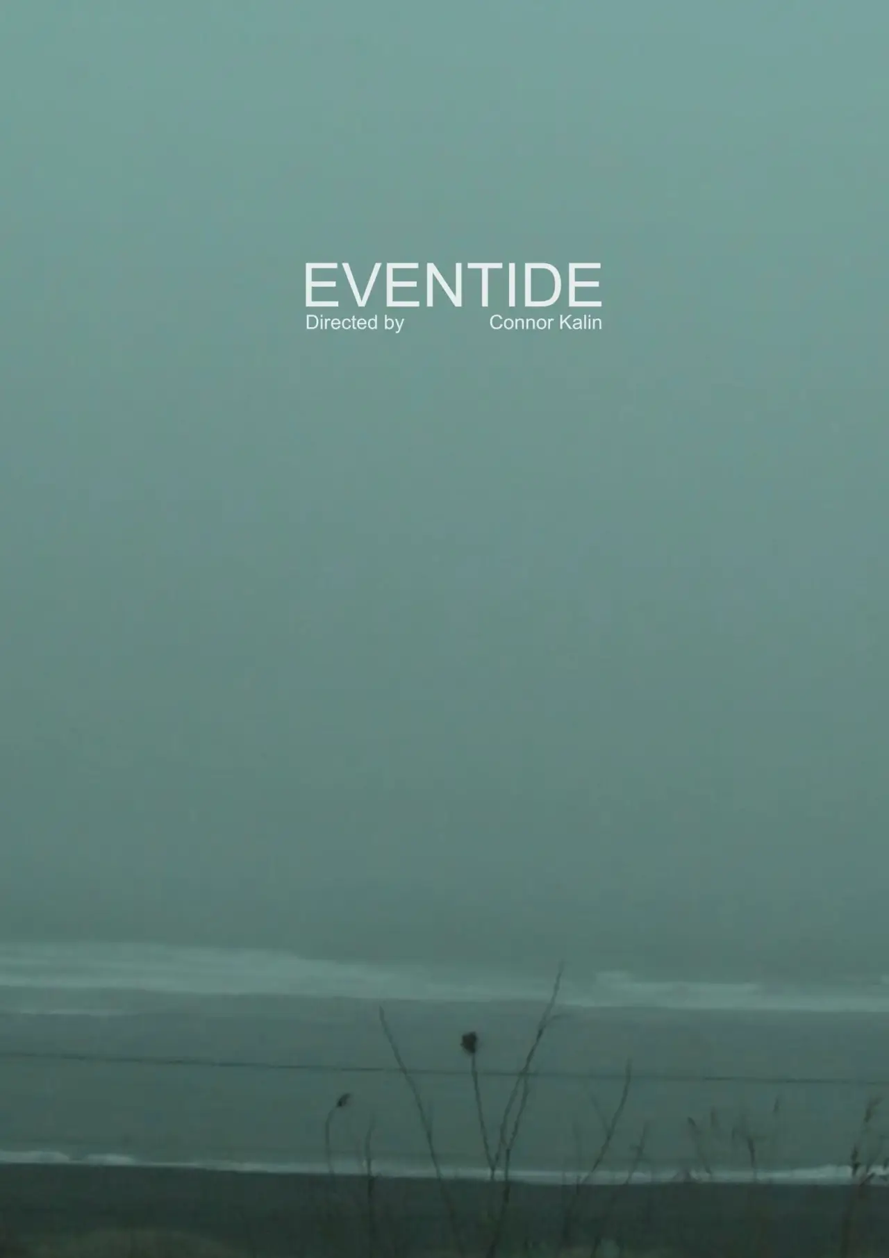 Plakat filmowy "Eventide"