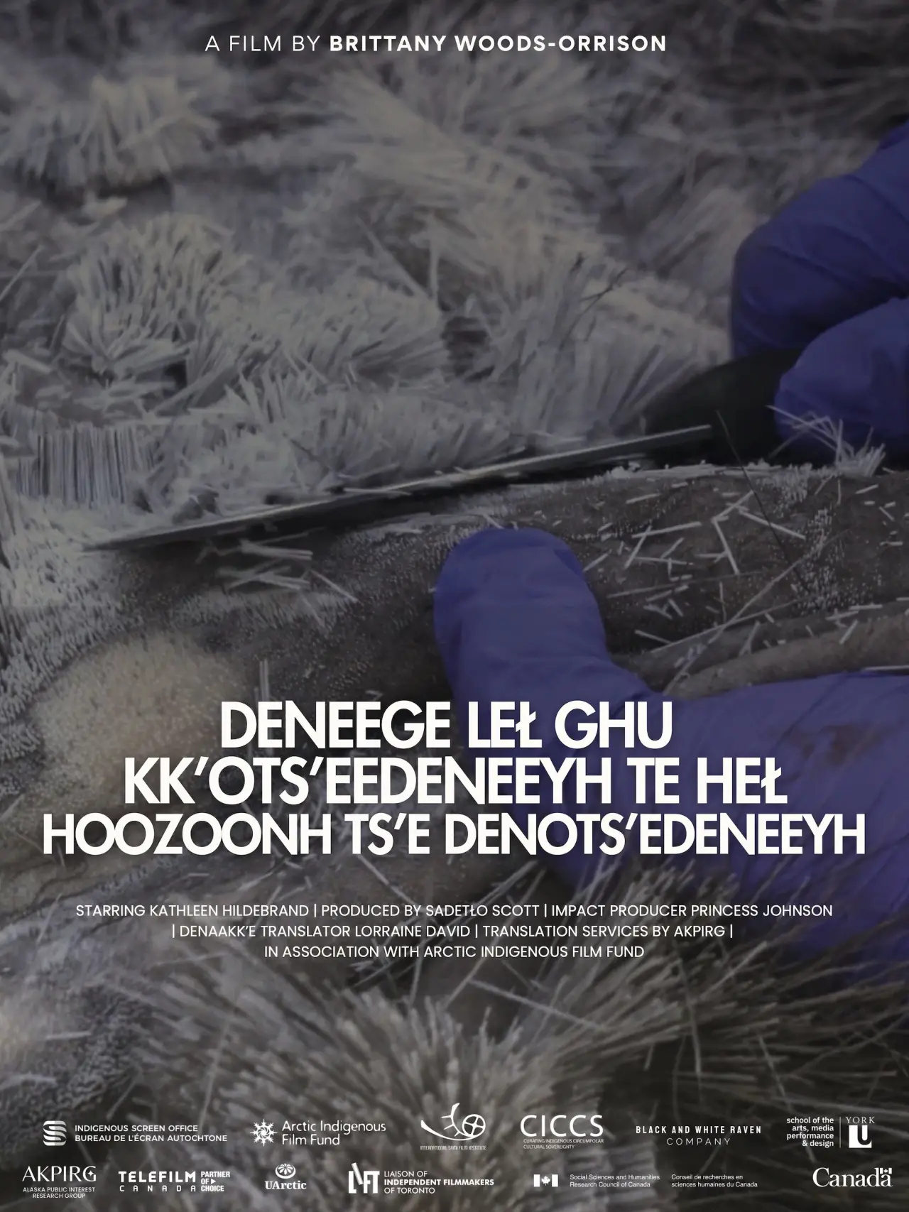 Plakat filmowy "Deneege Leł Ghu Kk’ots’eedeneeyh Te Heł Hoozoonh Ts’e Denots’edeneeyh"