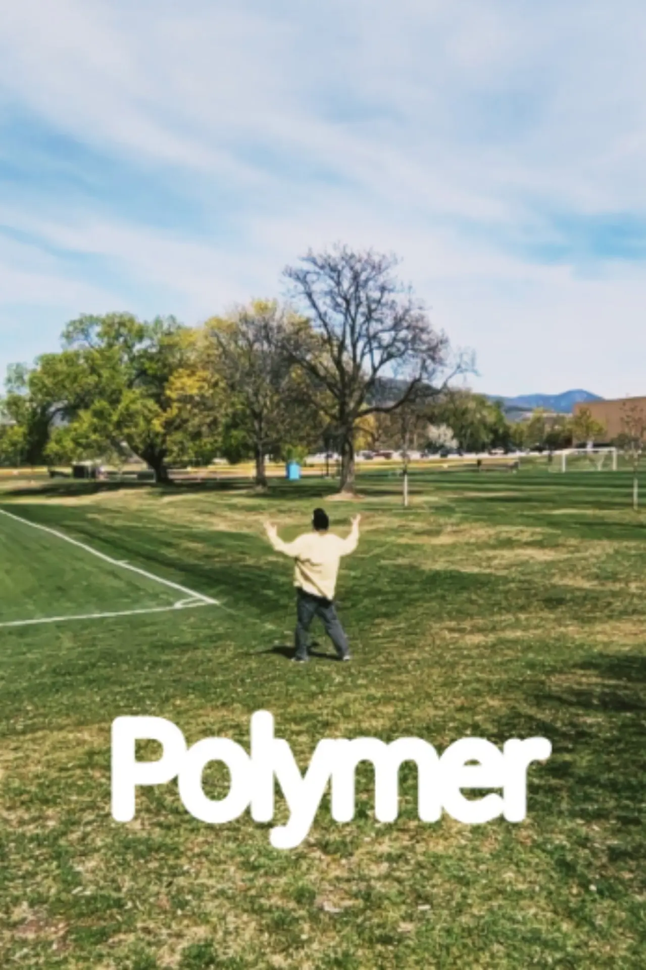Plakat filmowy "Polymer"