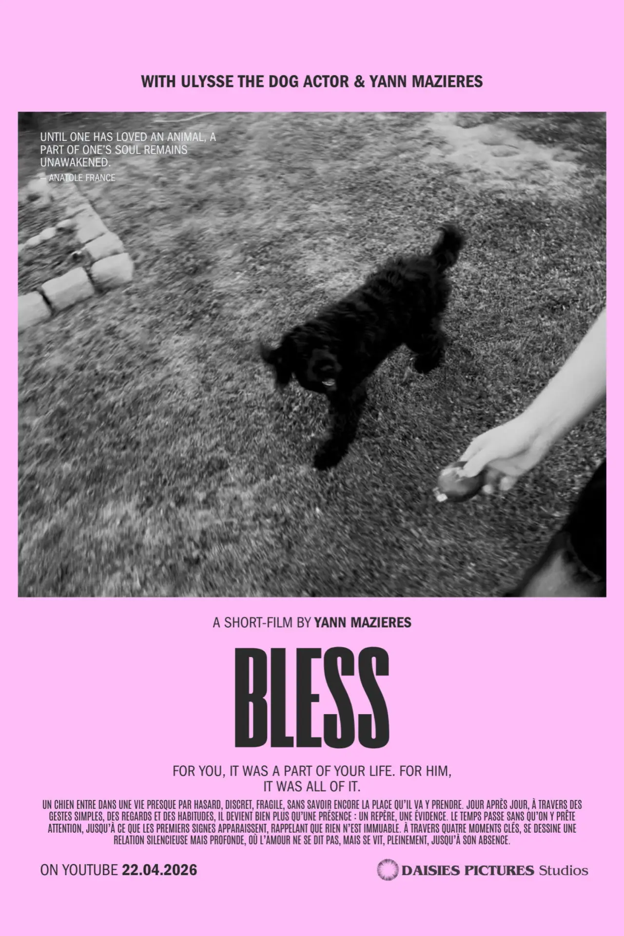Plakat filmowy "Bless"