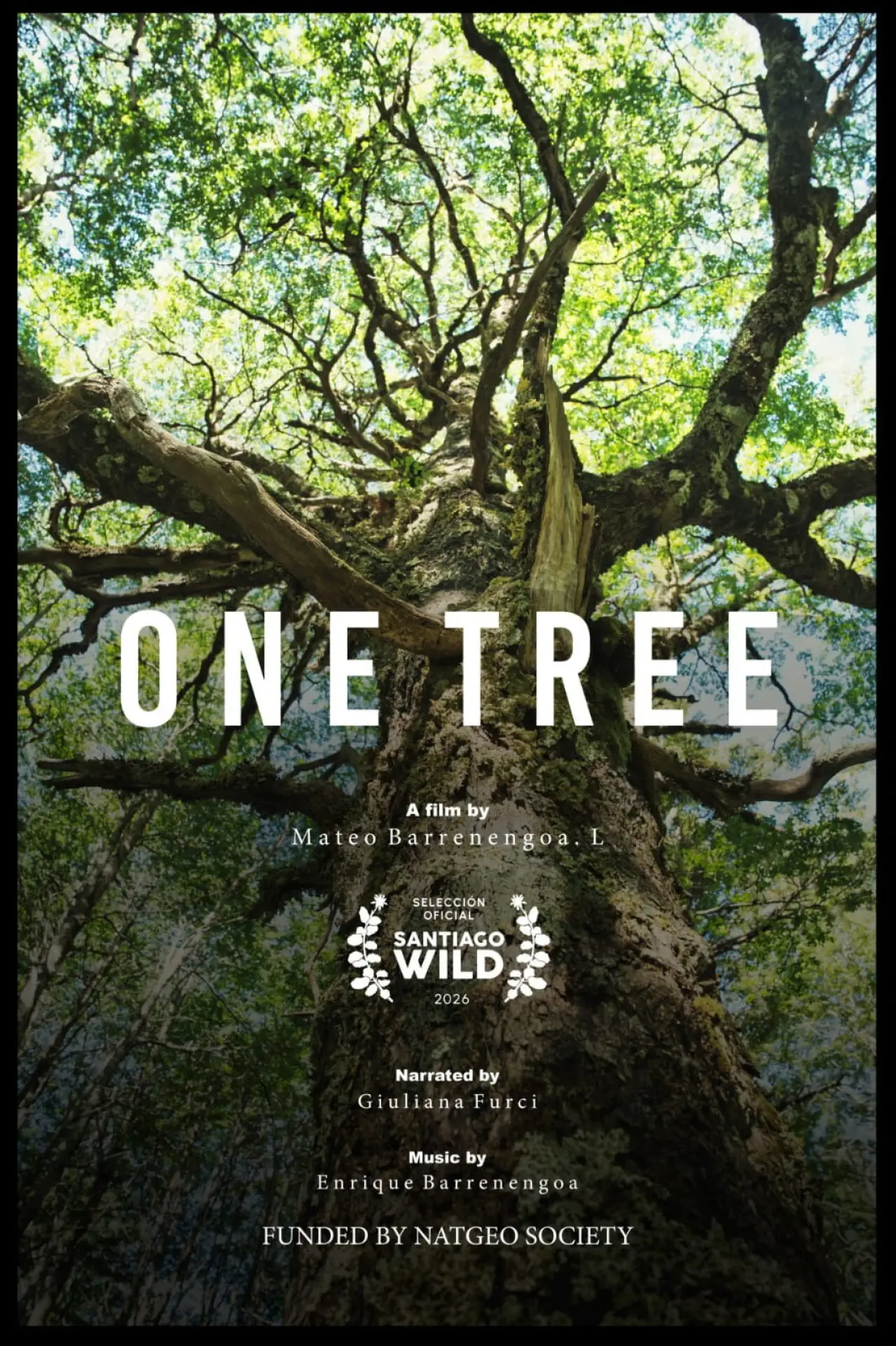 Plakat filmowy "Un Árbol"