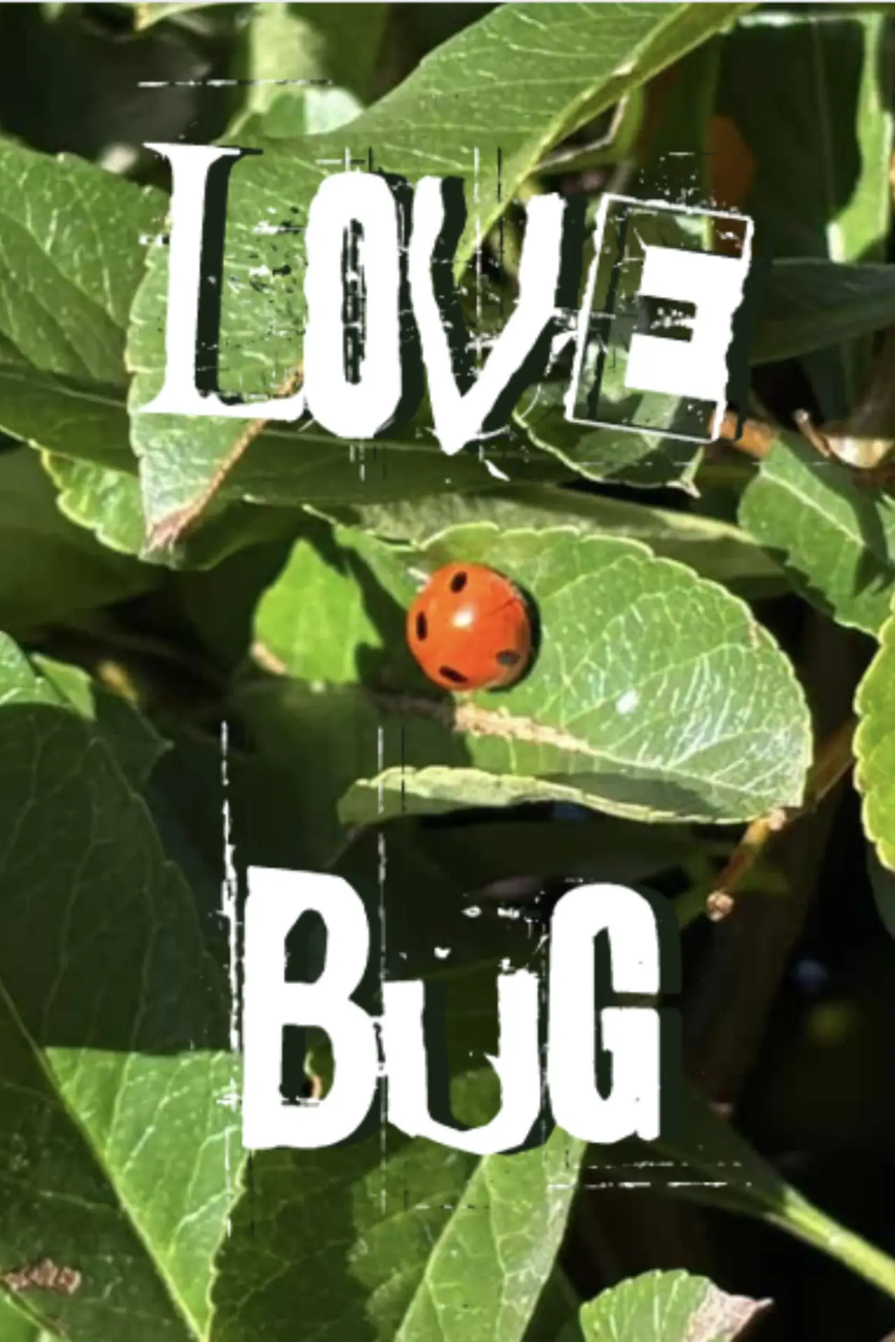 Plakat filmowy "Lovebug"