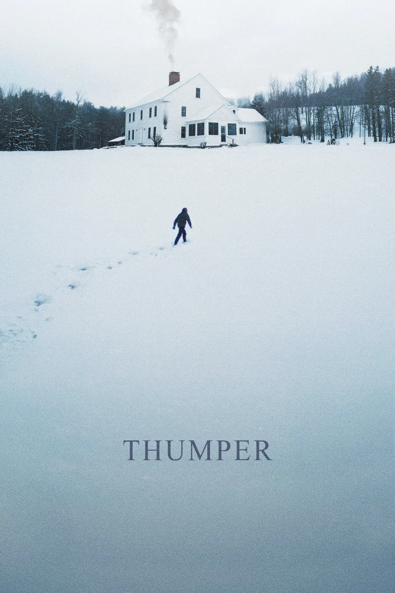 Plakat filmowy "Thumper"