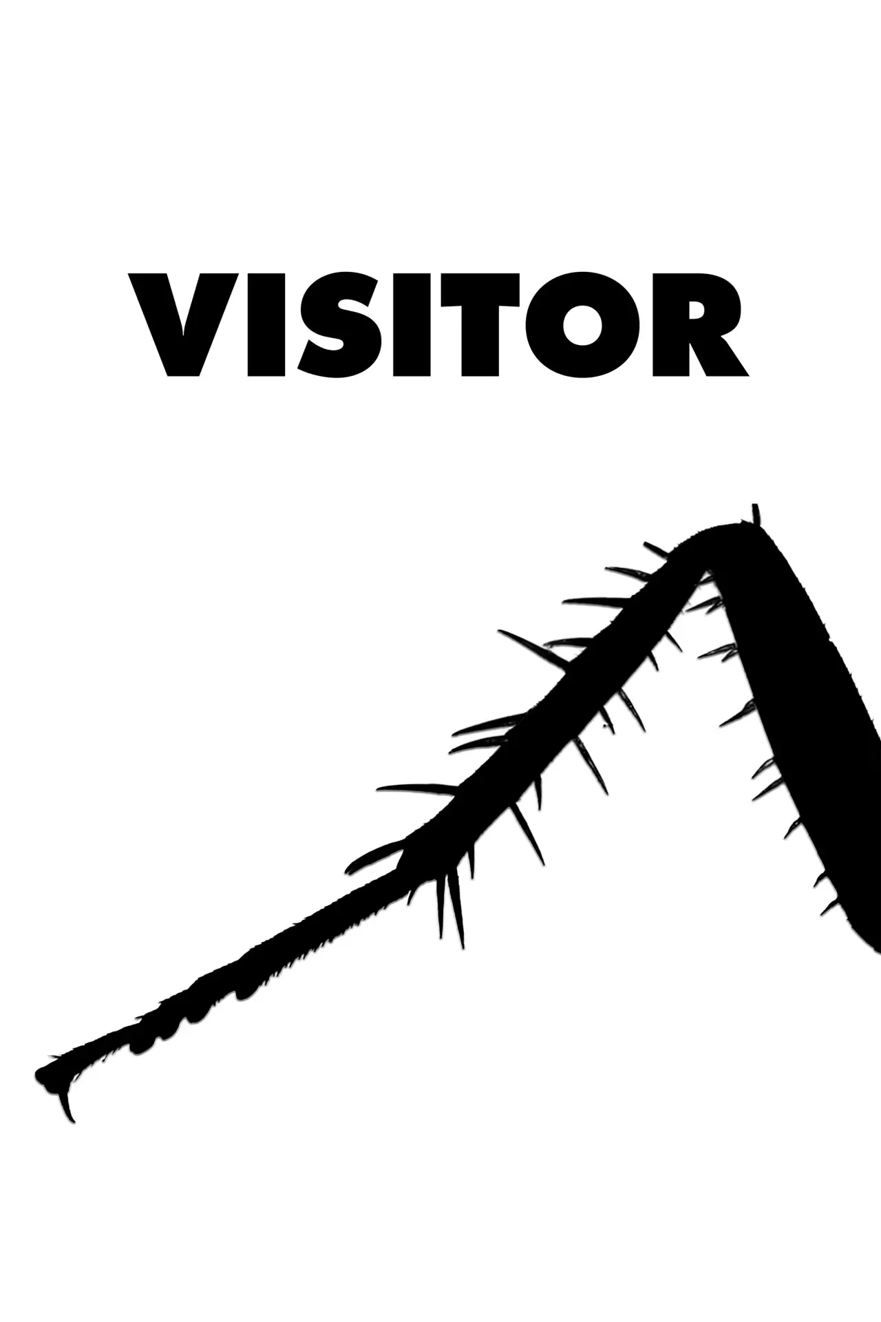 Plakat filmowy "Visitor"