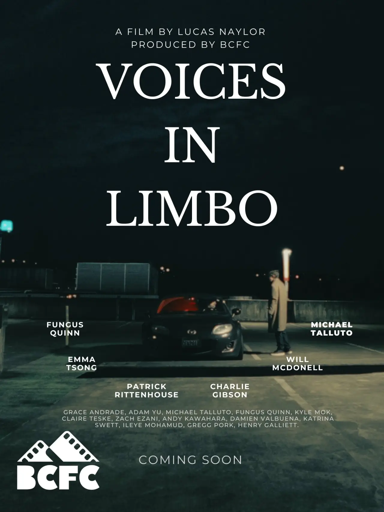 Plakat filmowy "Voices In Limbo"