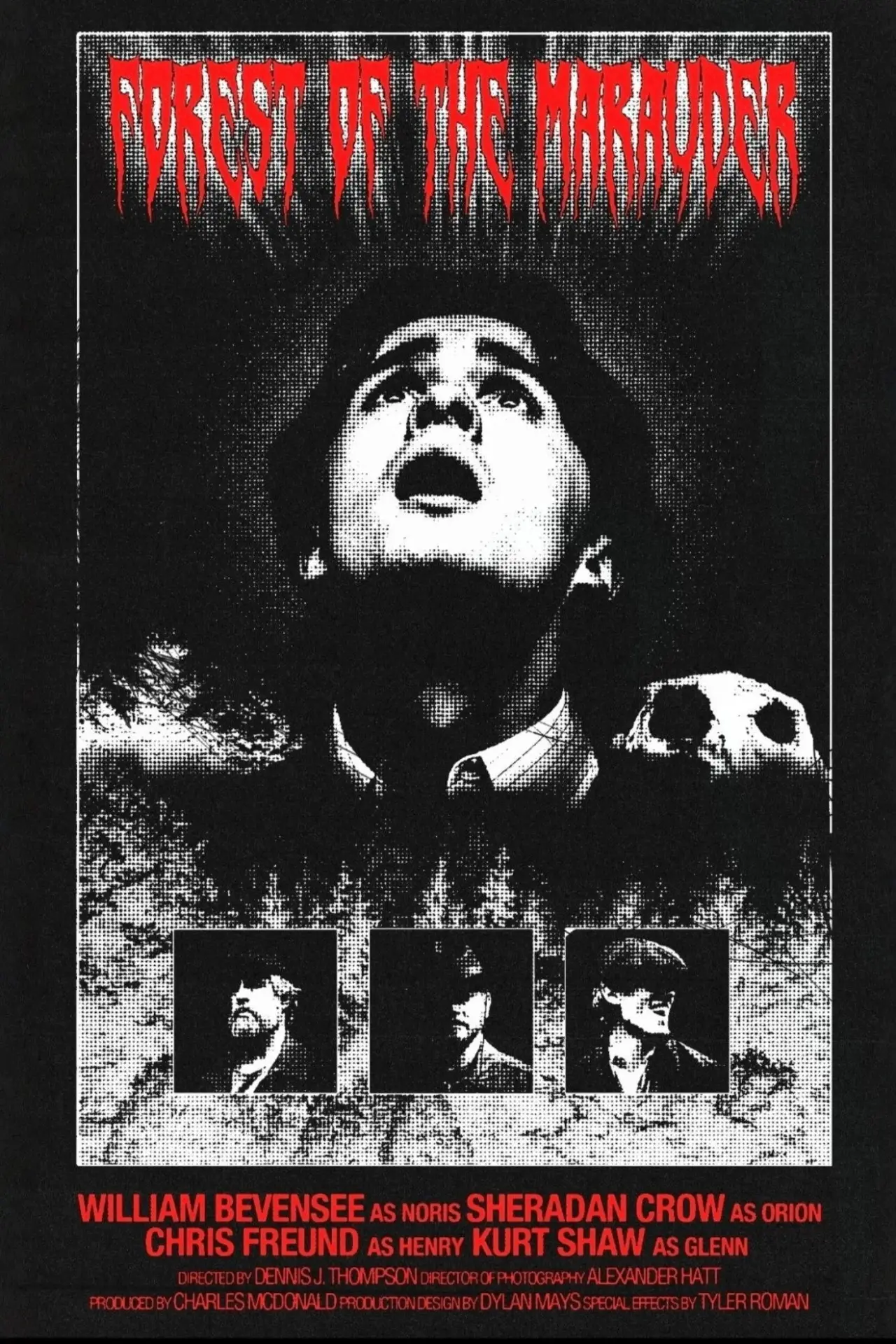 Plakat filmowy "Forest of the Marauder"