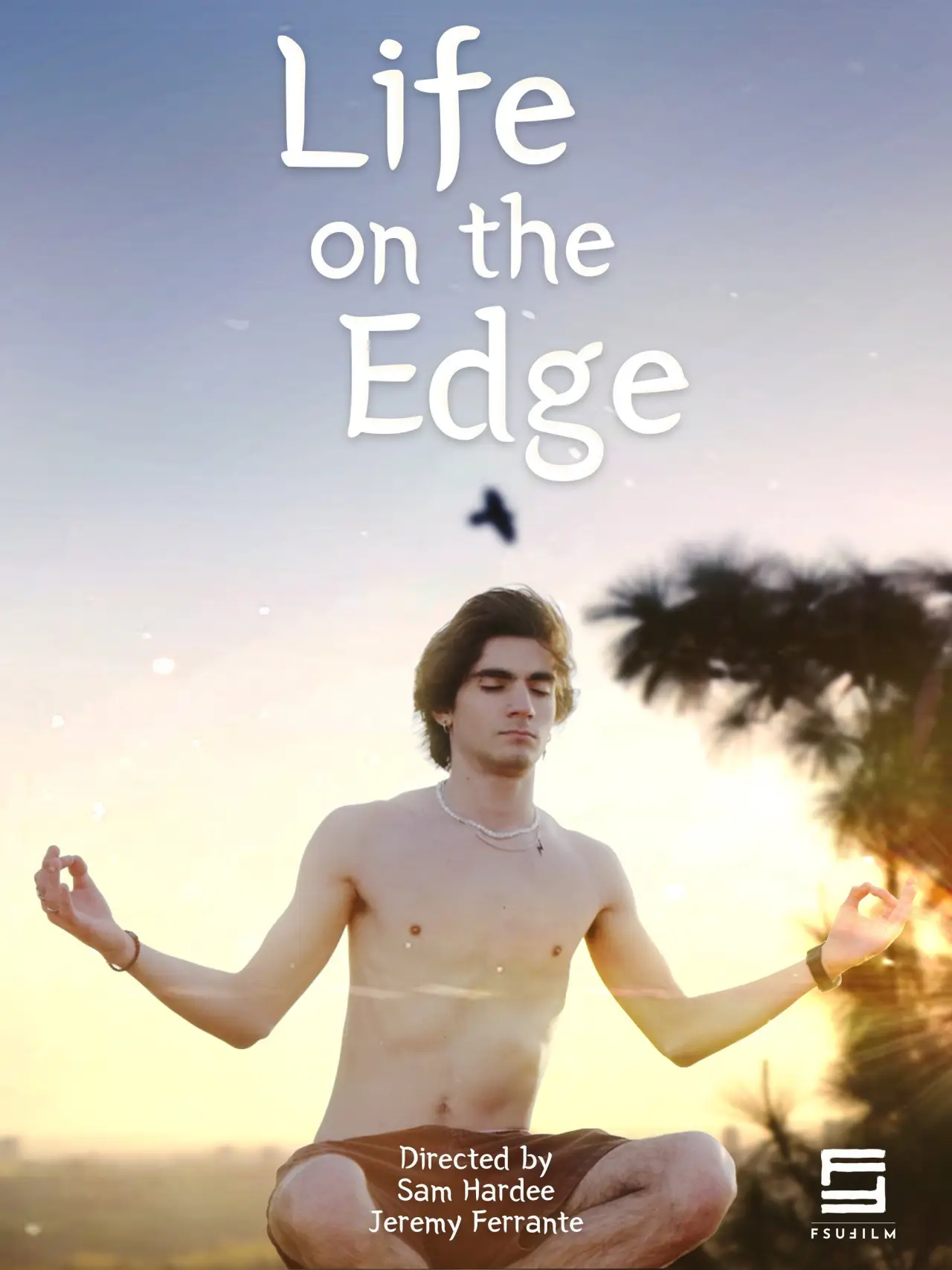 Plakat filmowy "Life on the Edge"
